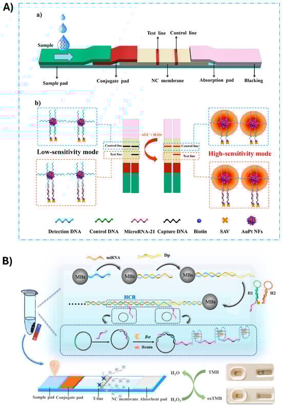 Biosensors 15 00238 g003
