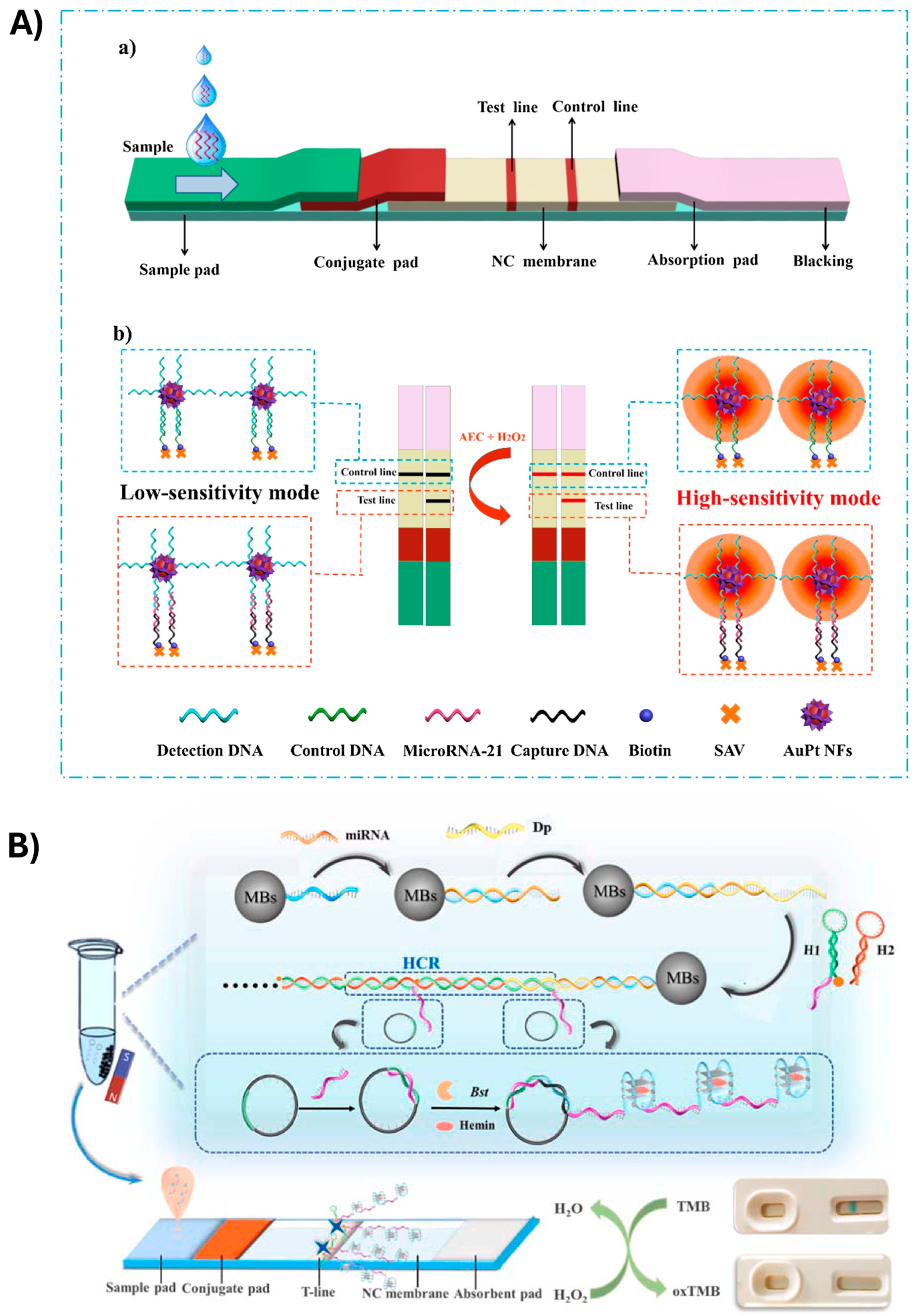 Biosensors 15 00238 g003