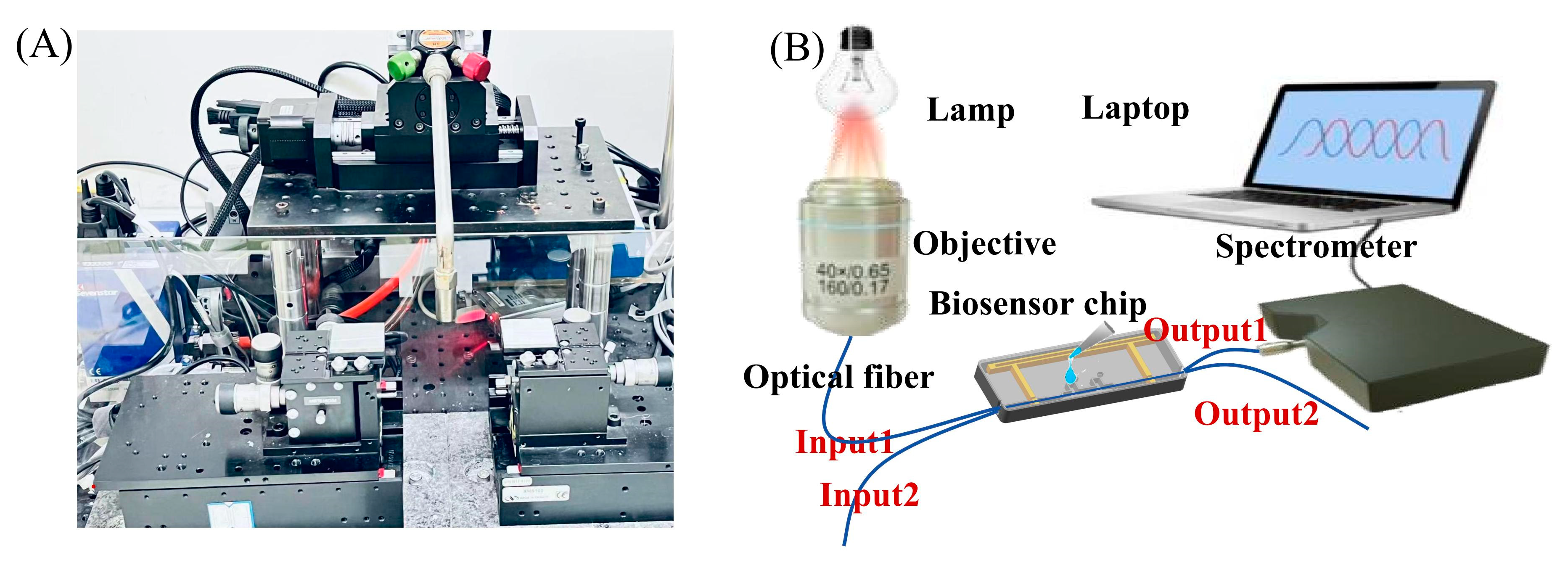 Biosensors 15 00241 g003