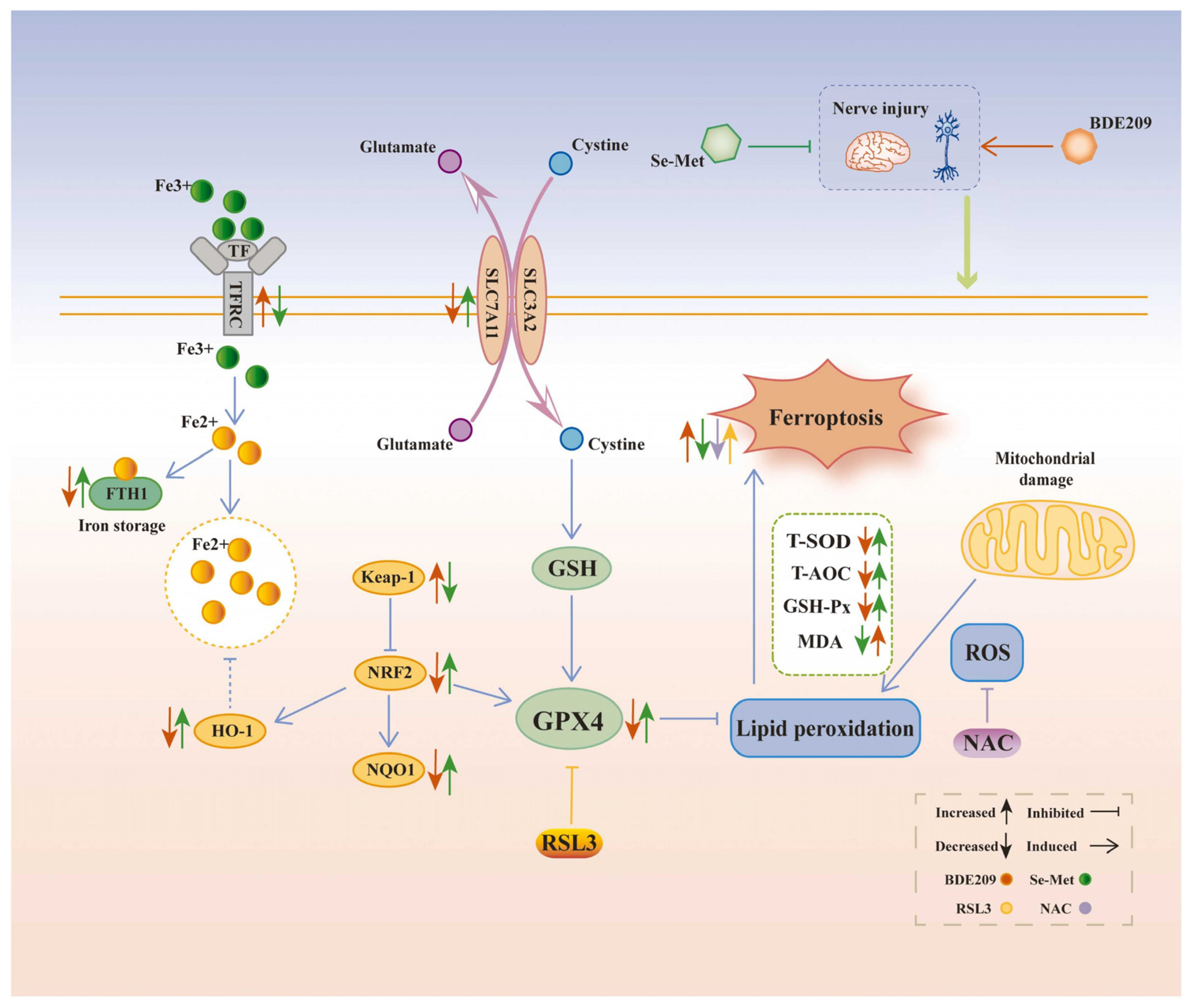 Biosensors 15 00242 g002