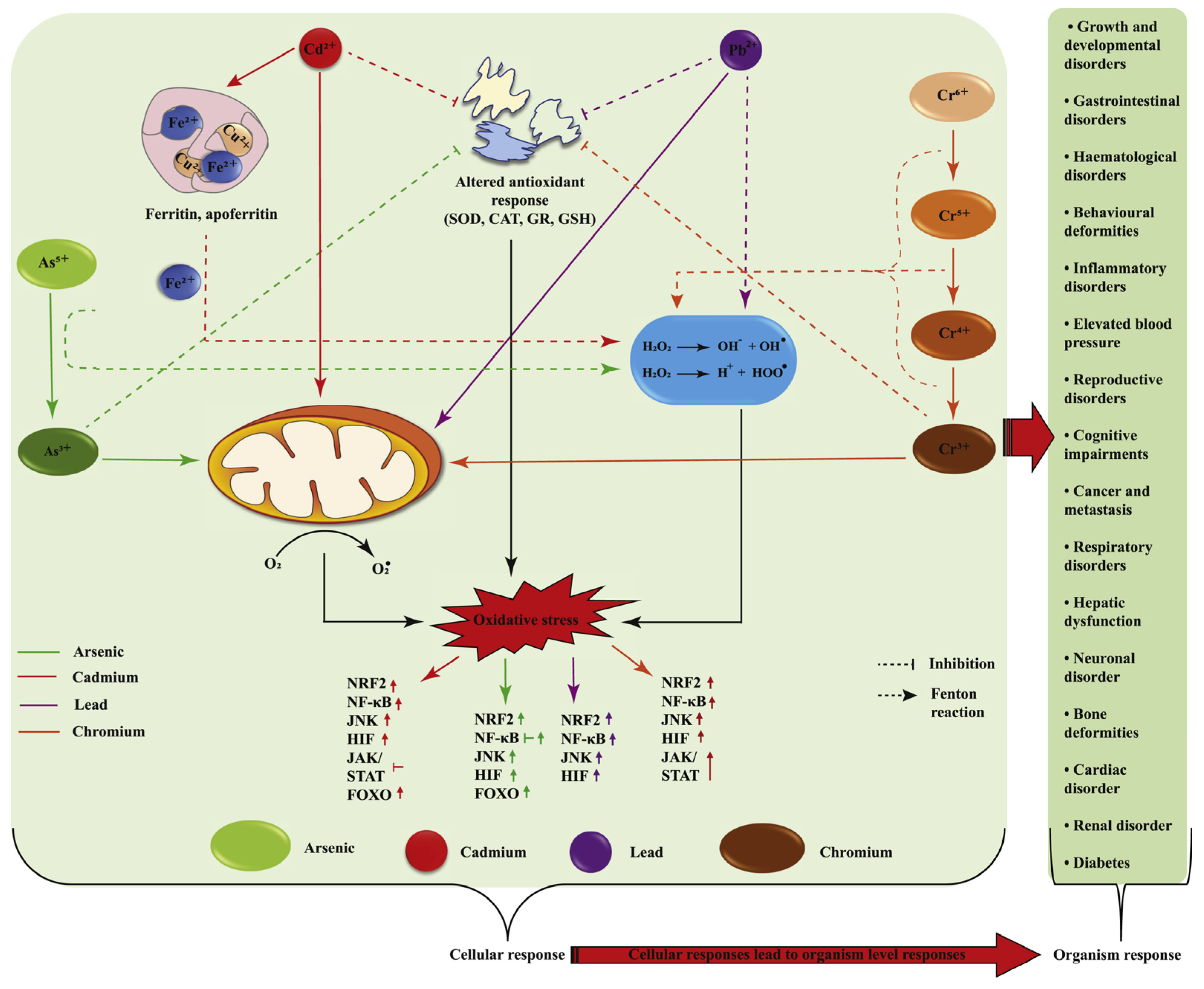 Biosensors 15 00242 g003