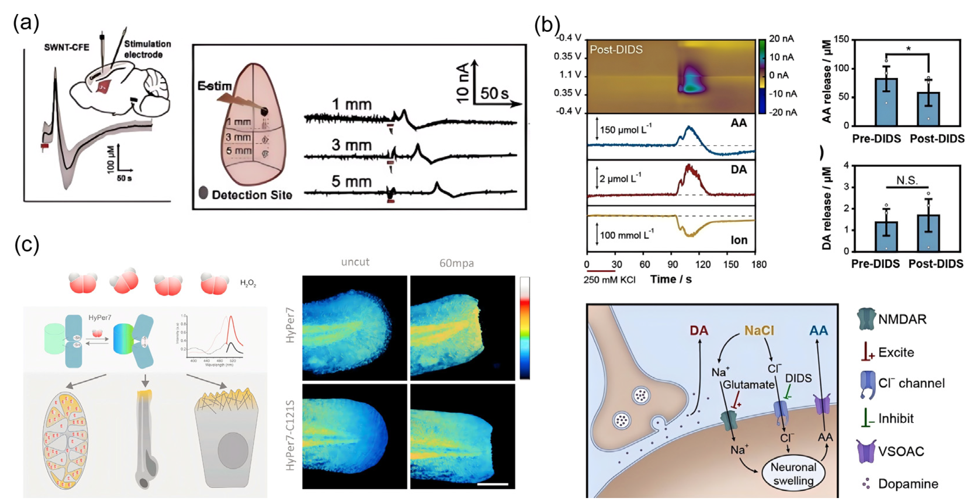 Biosensors 15 00242 g007
