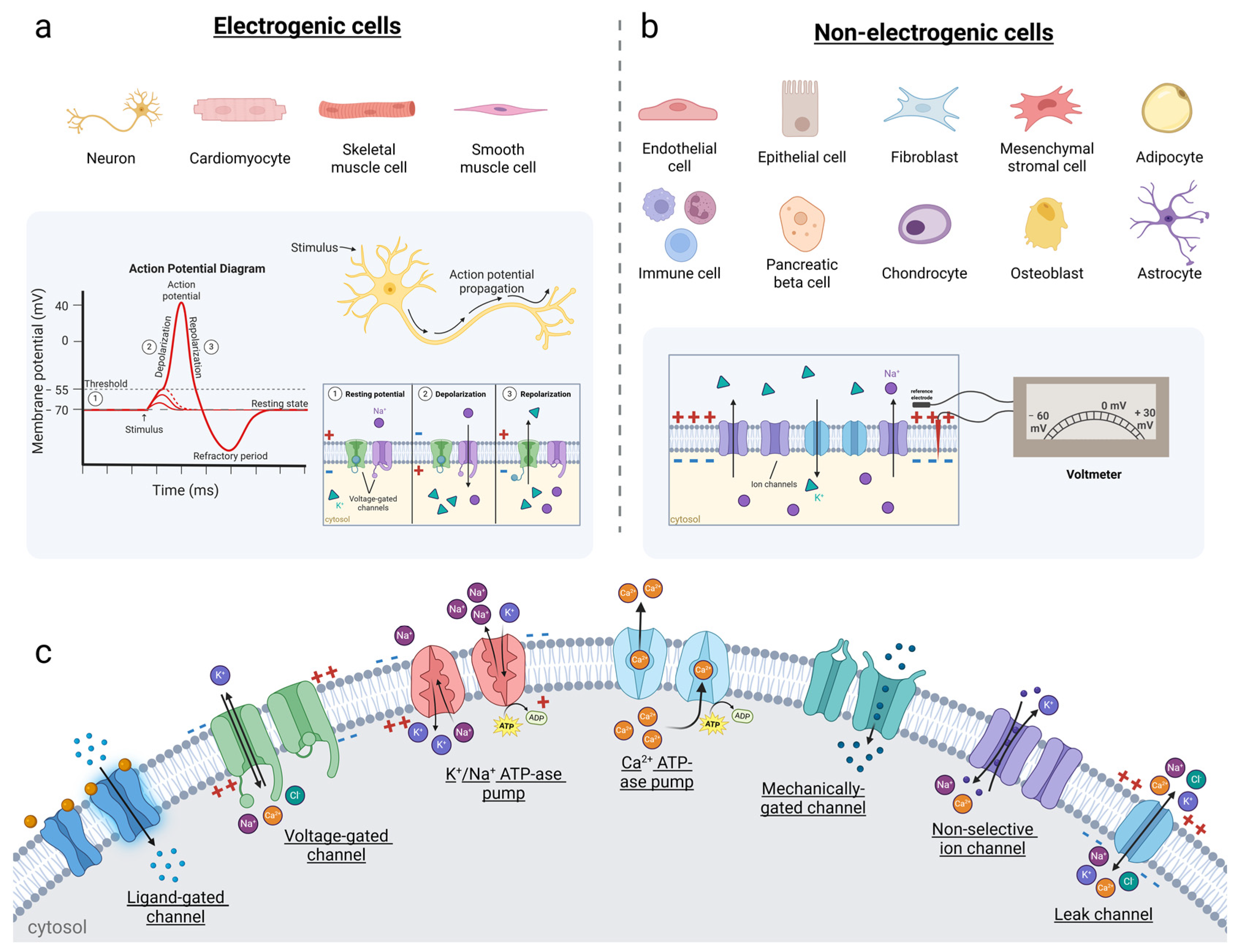 Biosensors 15 00253 g002