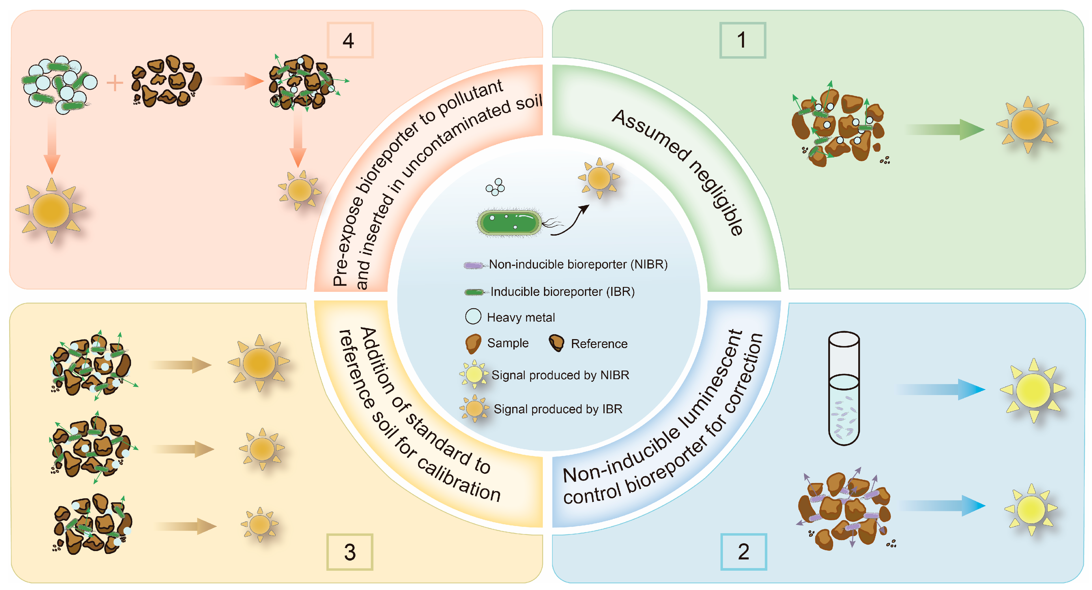 Biosensors 15 00260 g002