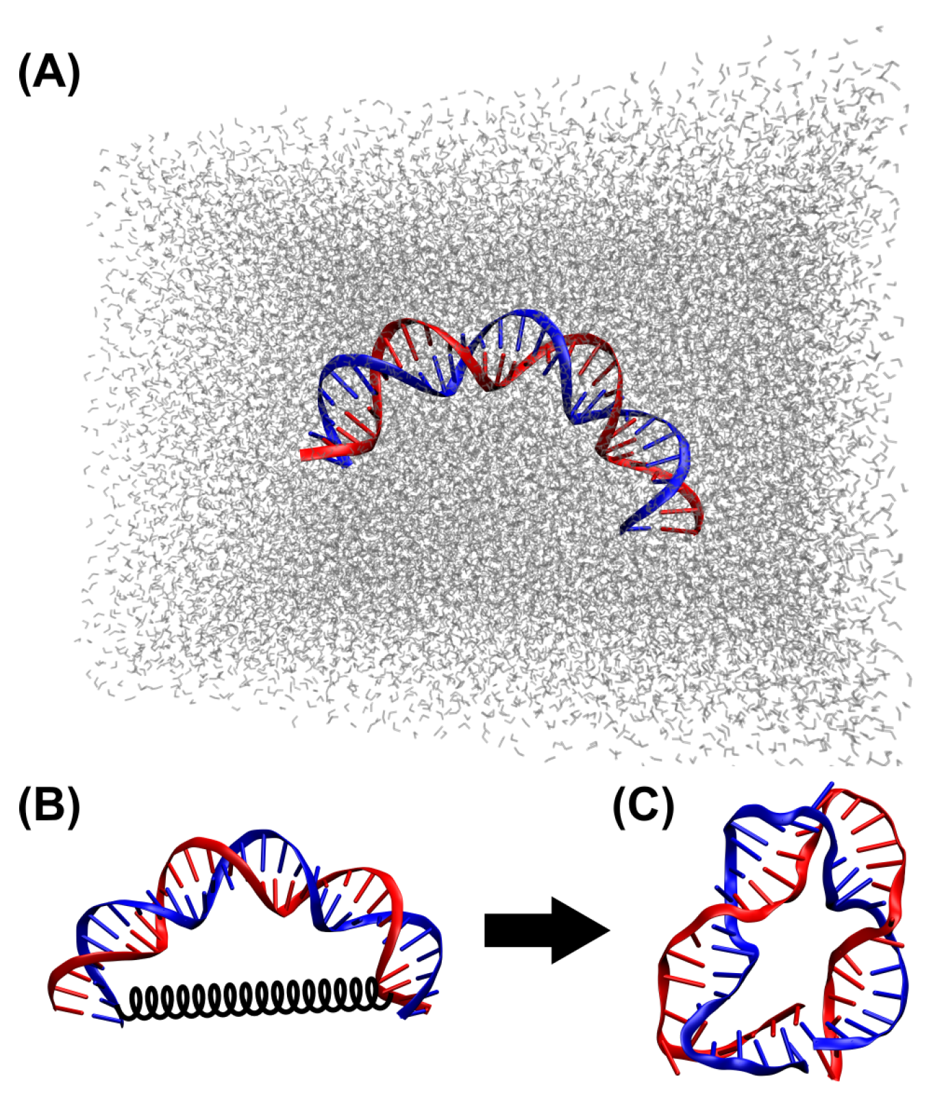 Biosensors 15 00272 g001