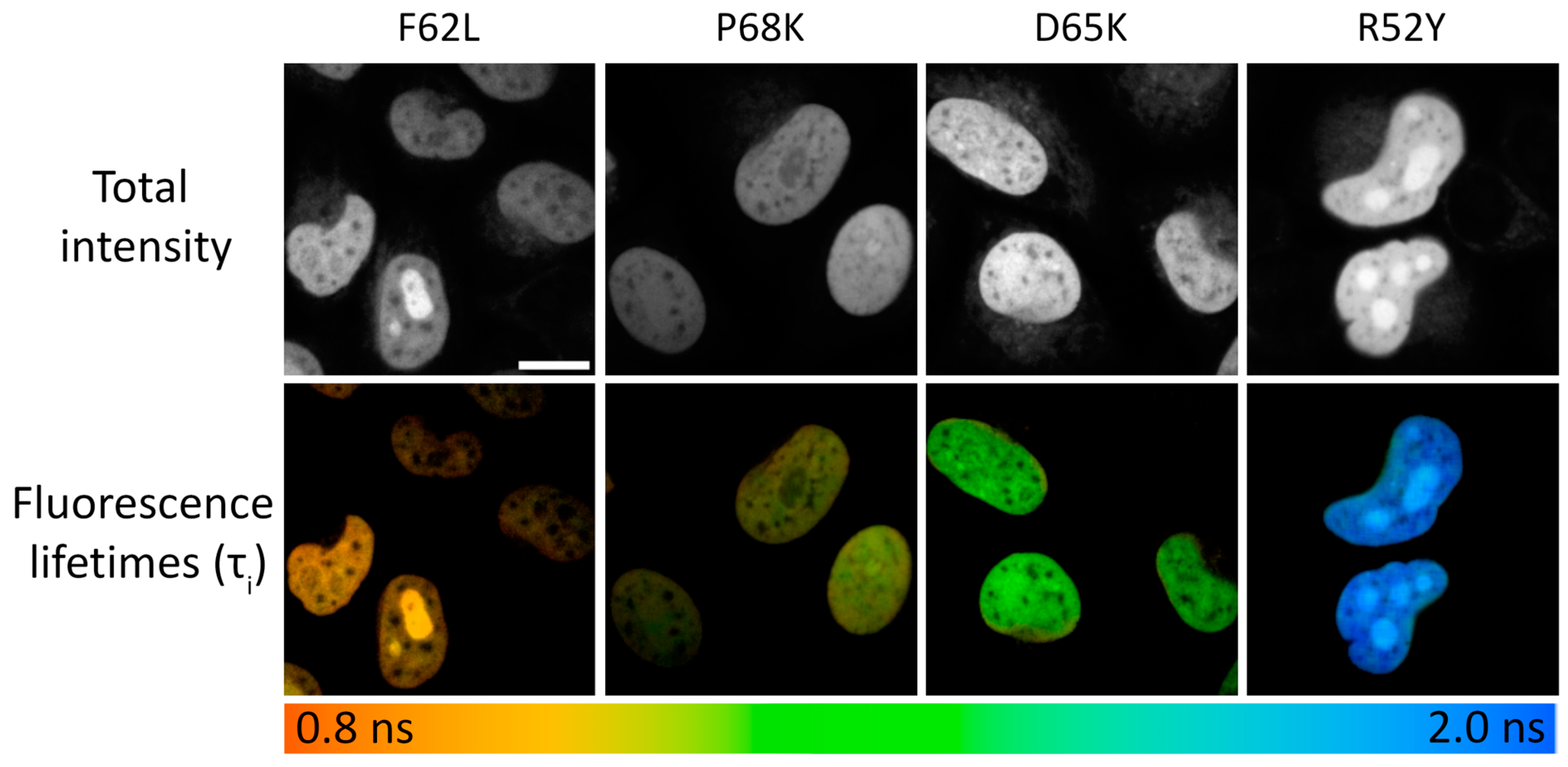 Biosensors 15 00274 g002