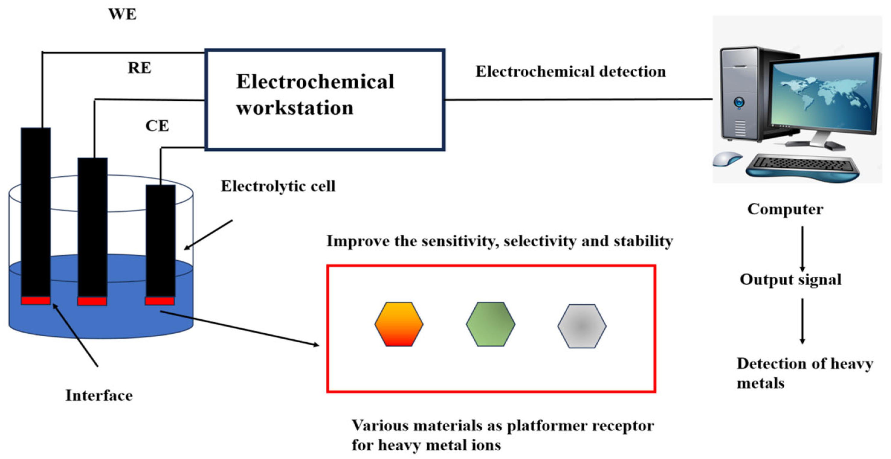 Biosensors 15 00275 g001 Biosensors 15 00275 g001