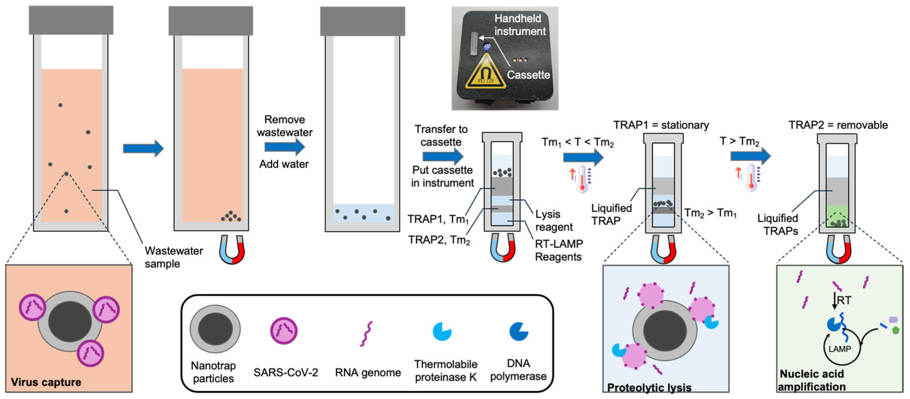 Biosensors 15 00276 g001