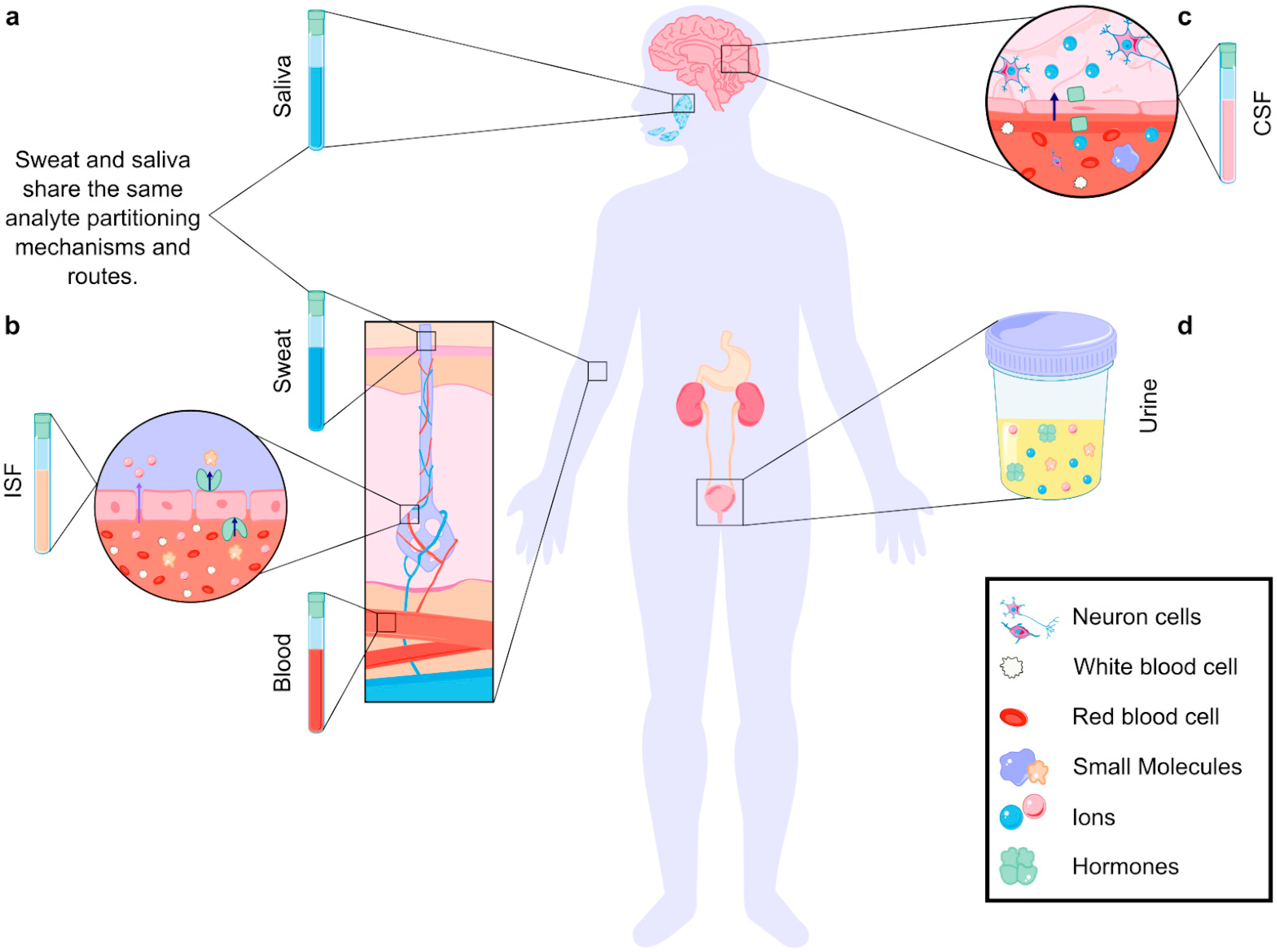 Aptamer and Oligonucleotide-Based Biosensors for Health Applications