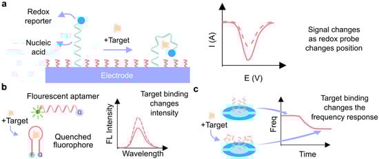 Biosensors 15 00277 g005