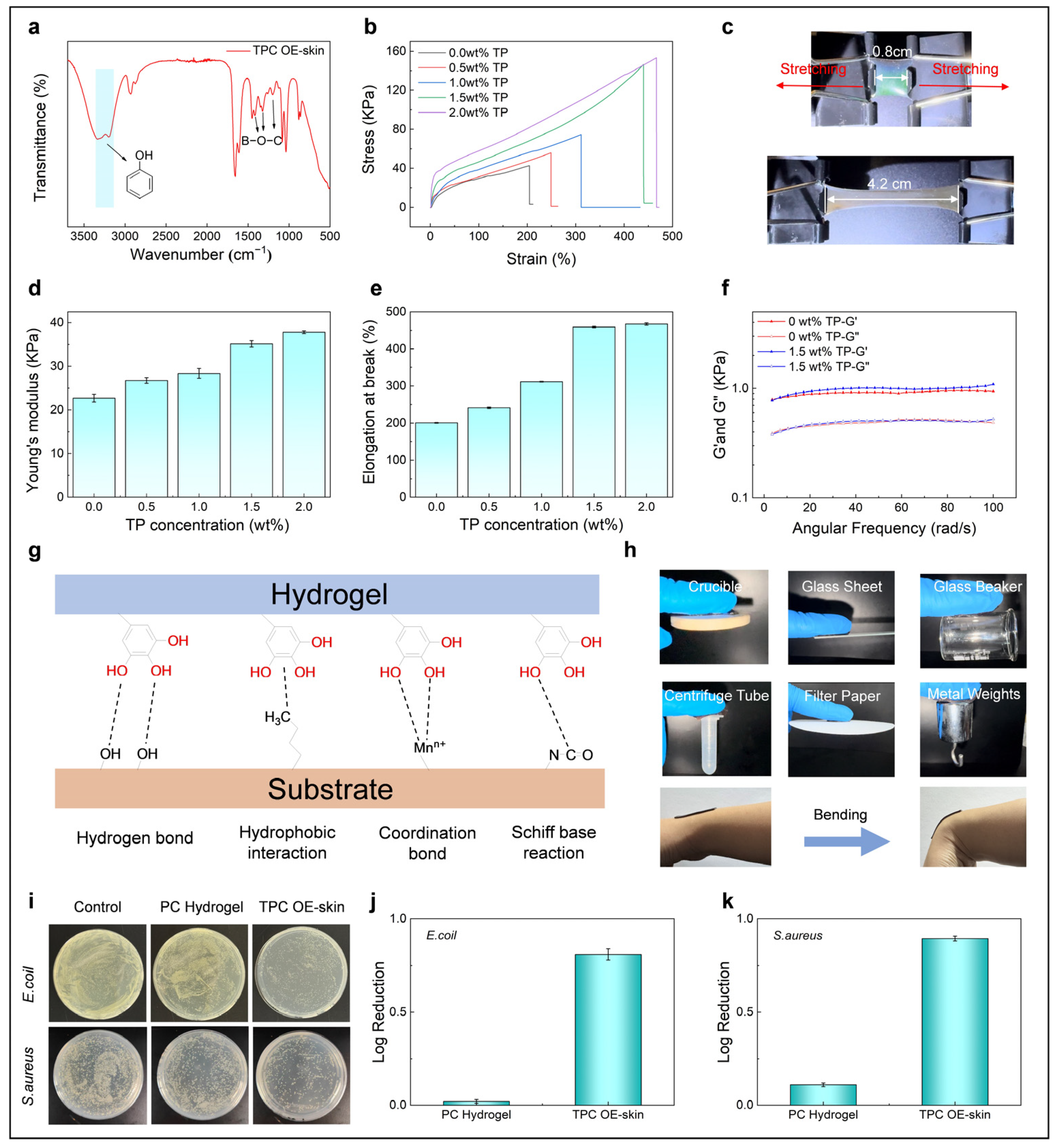 Biosensors 15 00281 g002