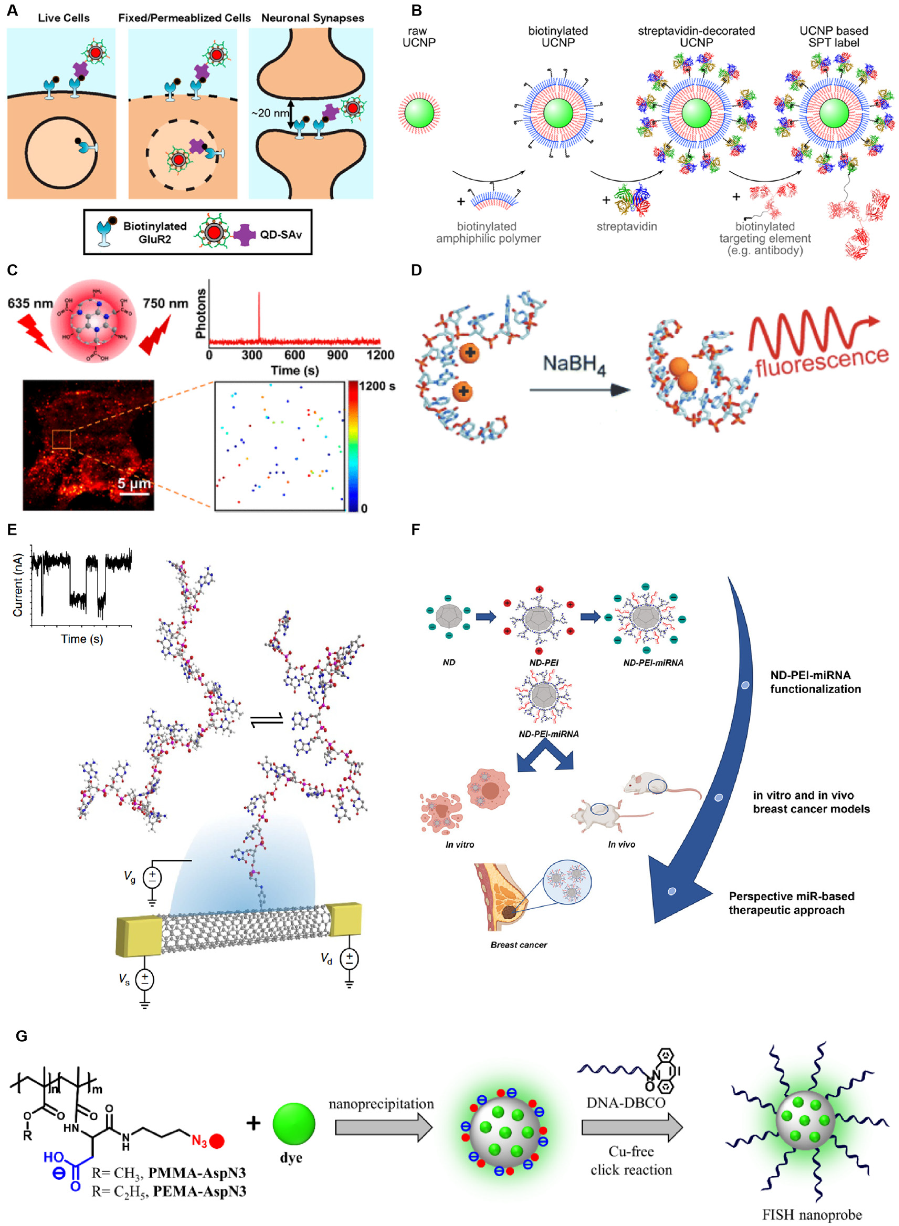 Biosensors 15 00283 g001