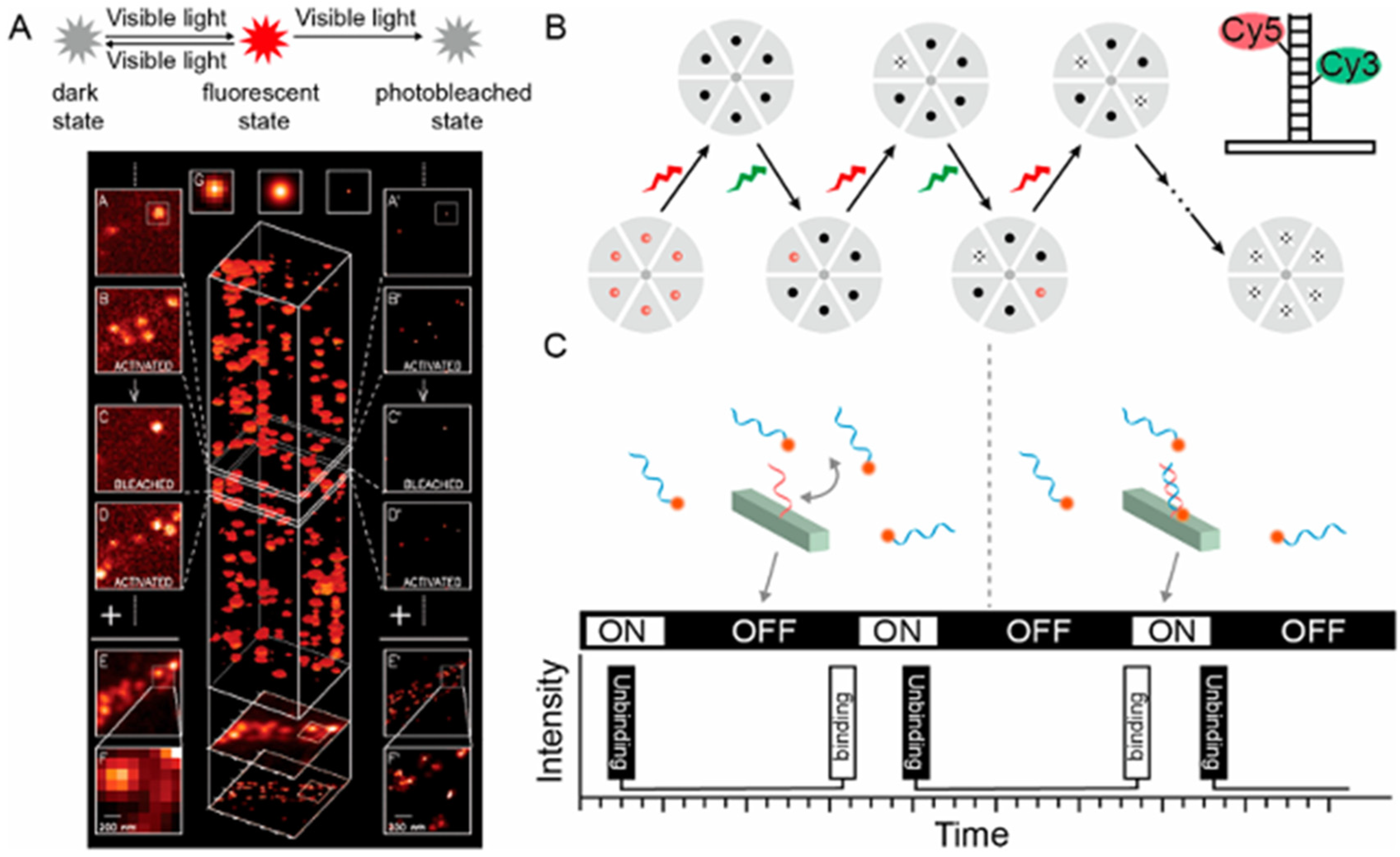 Biosensors 15 00283 g004