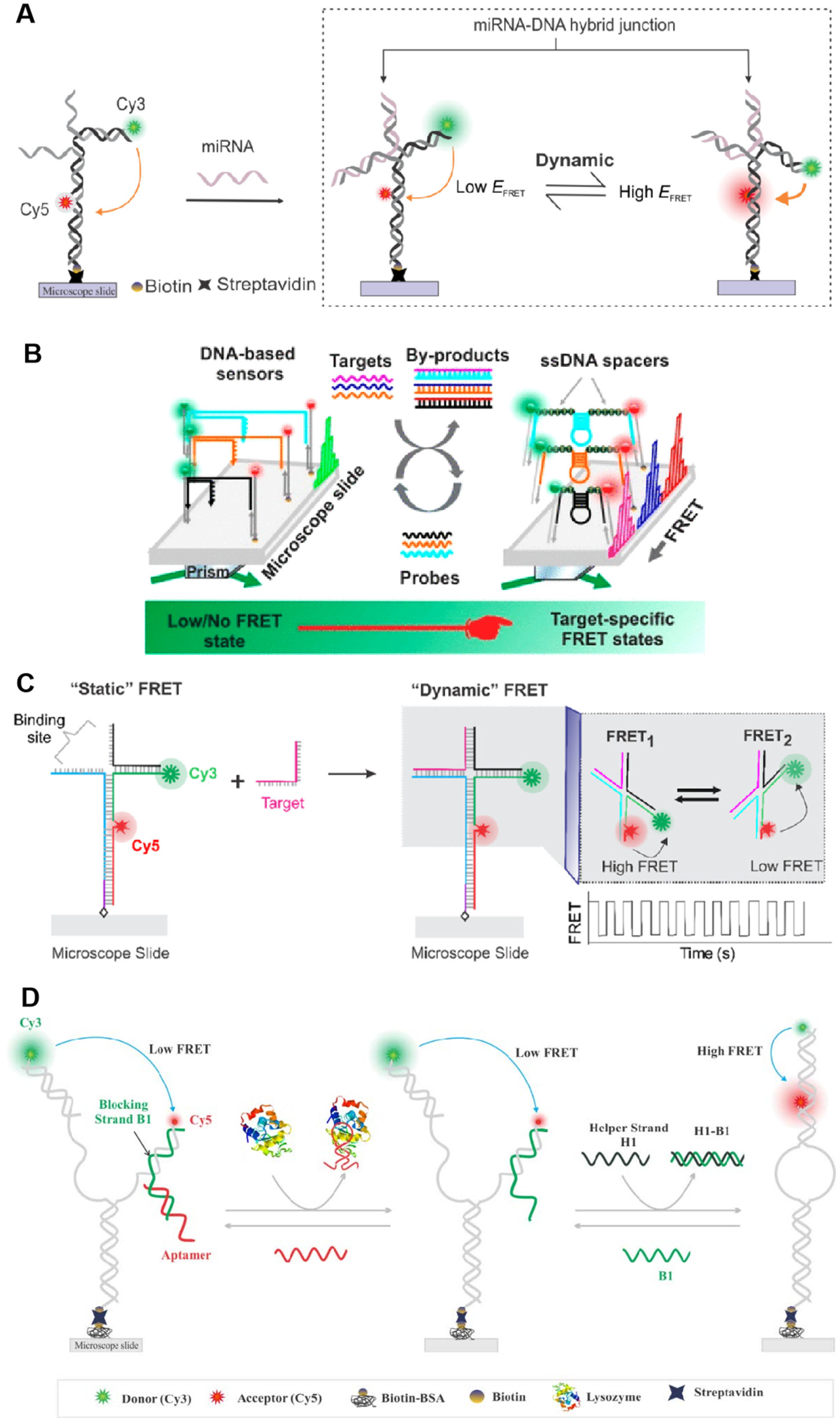 Biosensors 15 00283 g005
