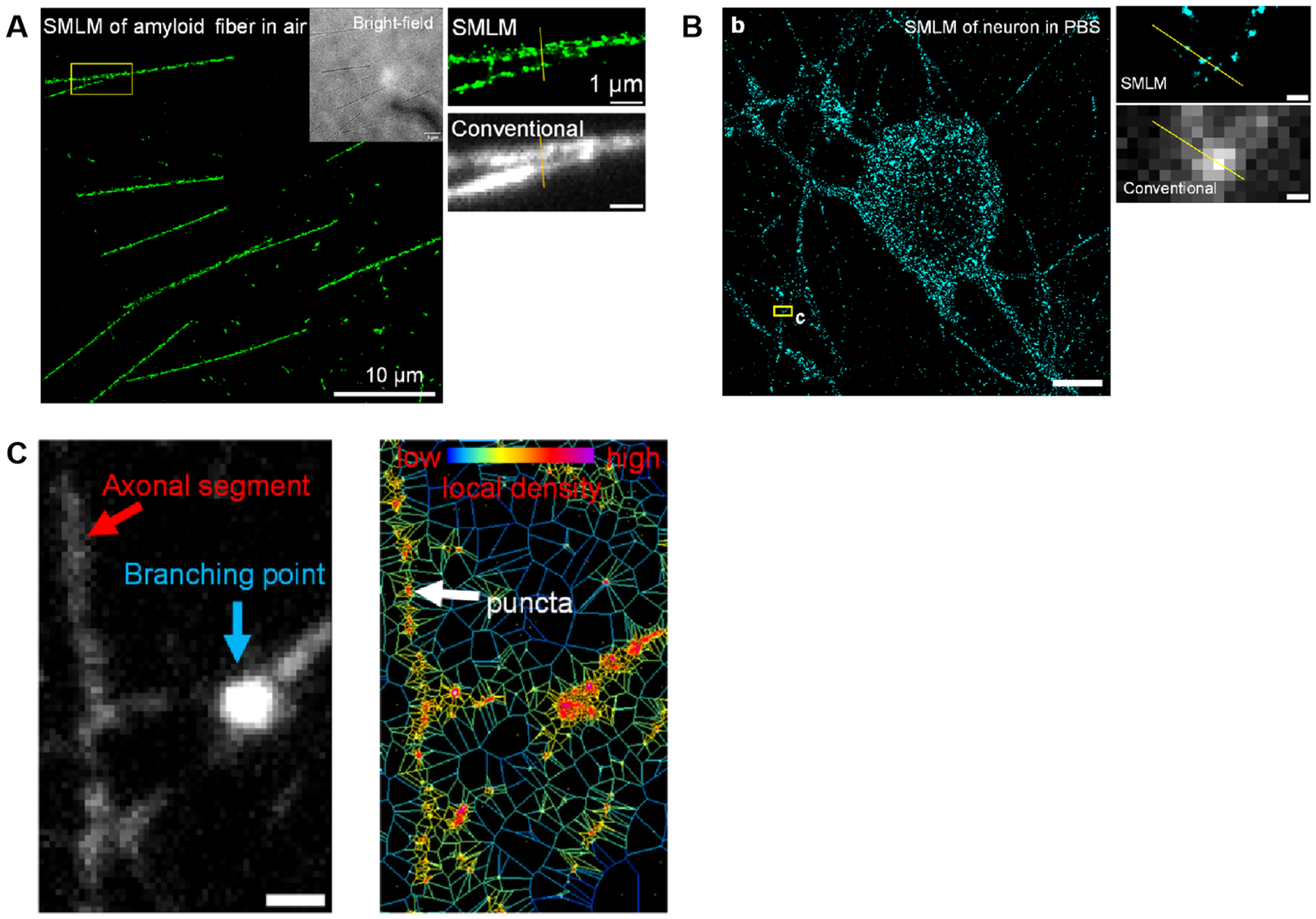 Biosensors 15 00283 g006