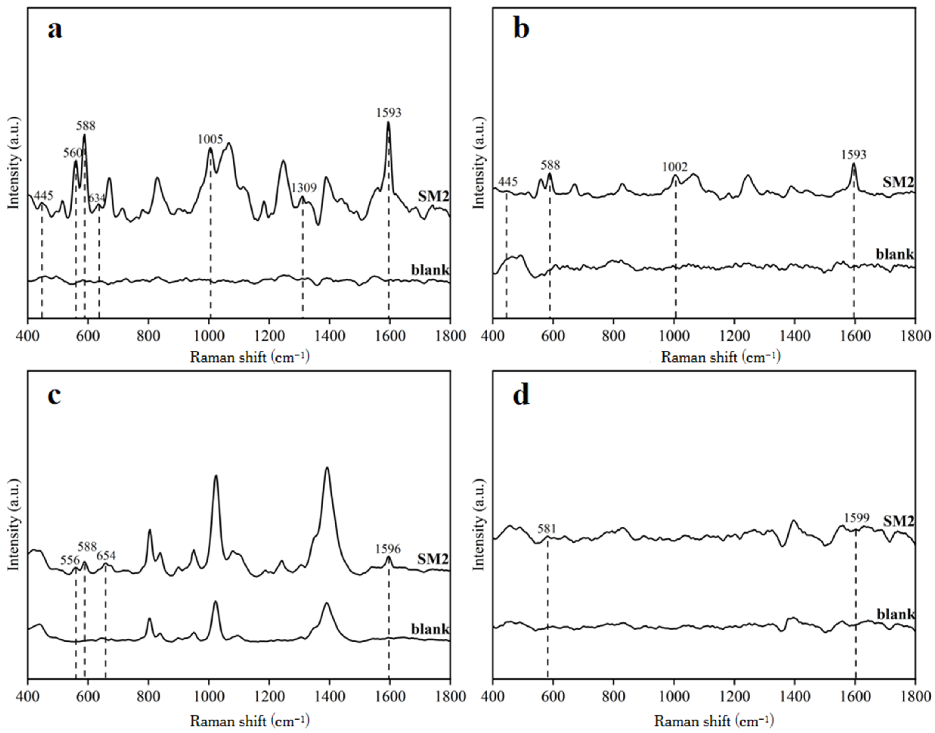 Biosensors 15 00286 g003