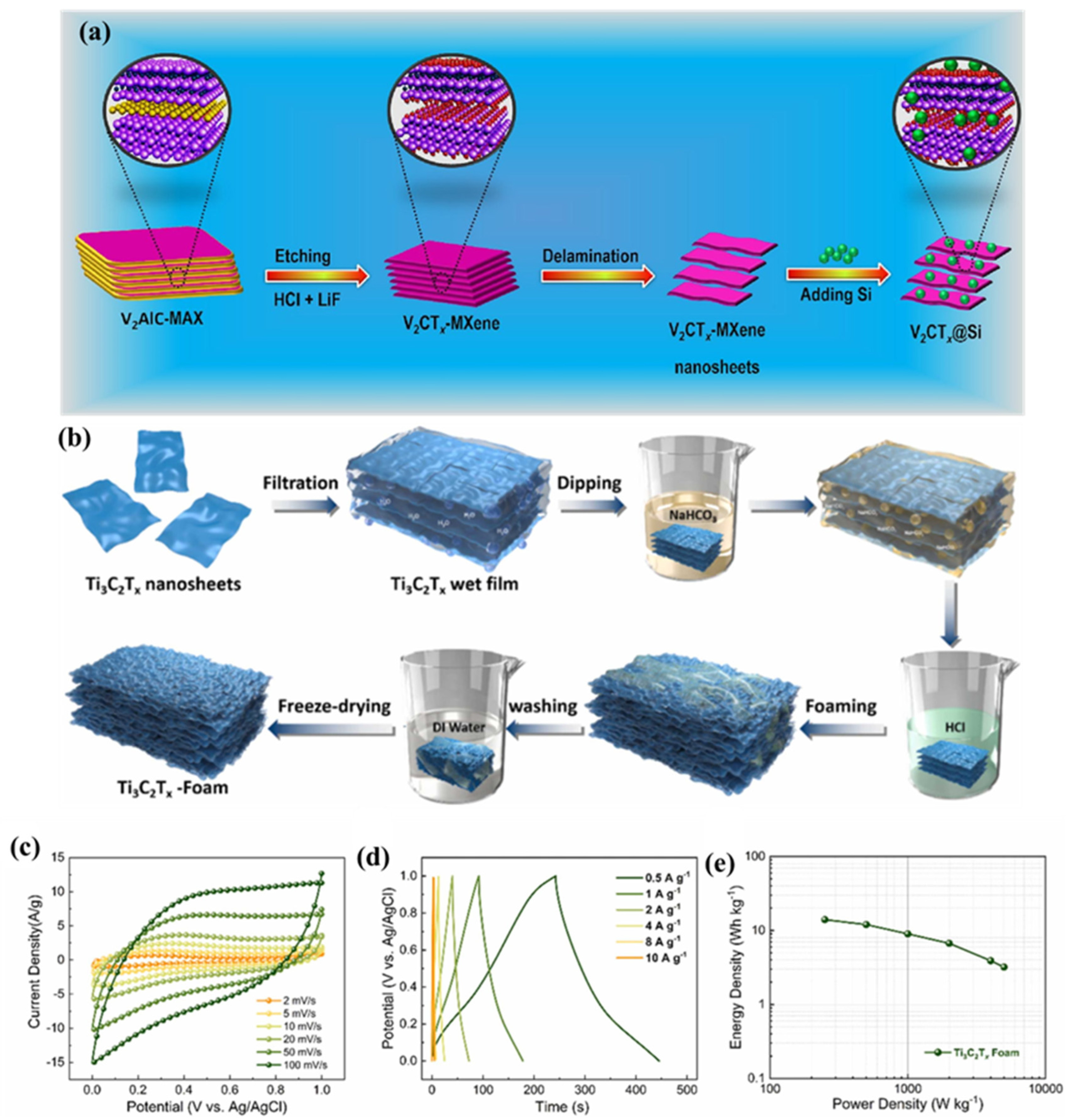 Biosensors 15 00288 g001