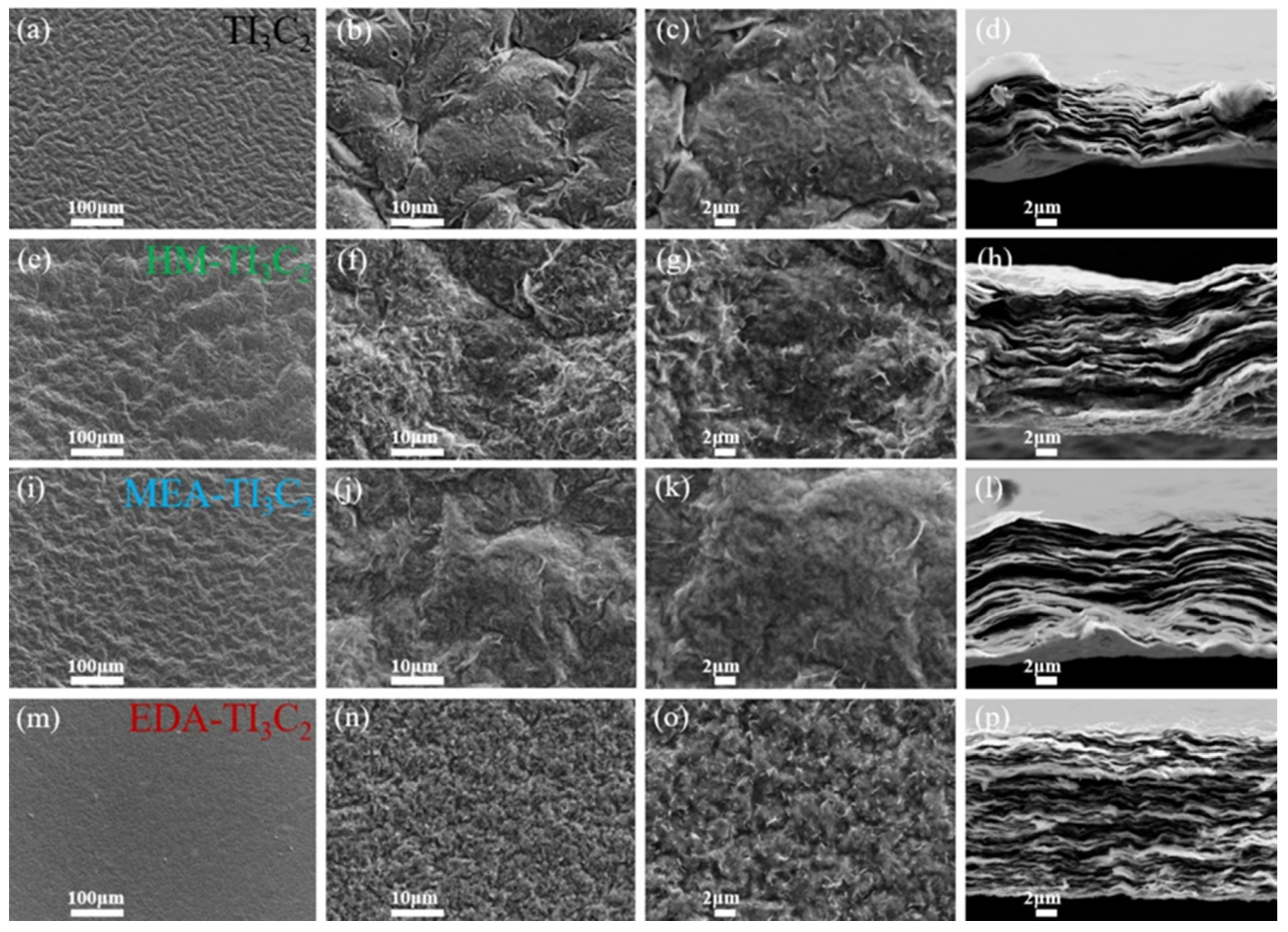 Biosensors 15 00288 g003