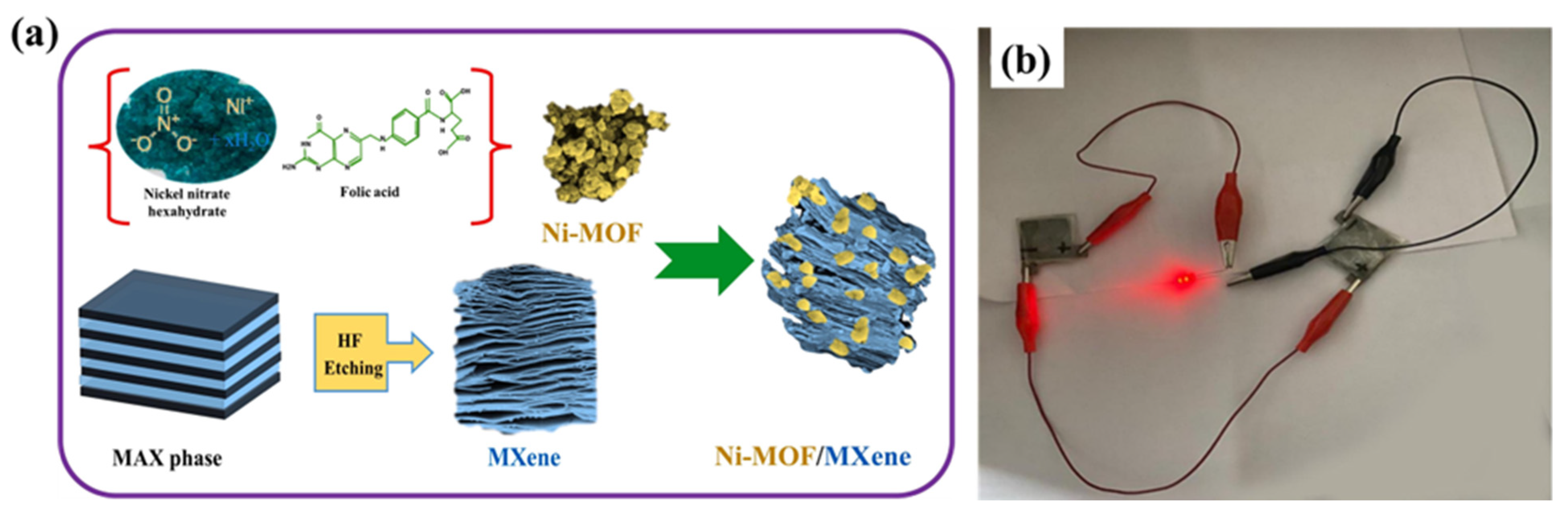 Biosensors 15 00288 g012
