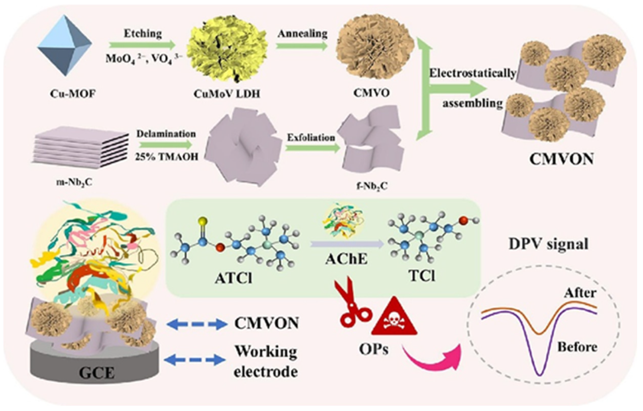 Biosensors 15 00288 g016