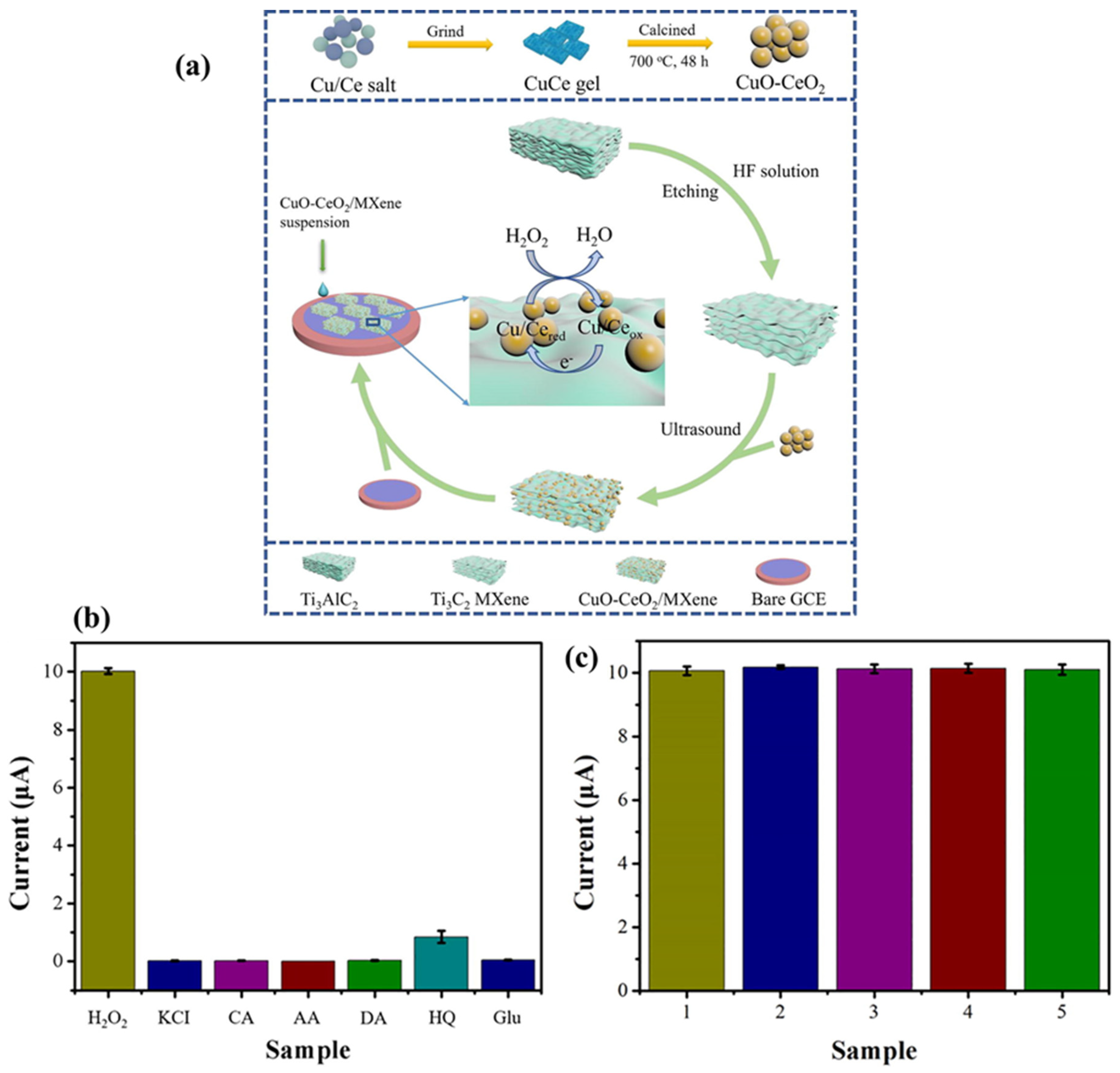 Biosensors 15 00288 g017