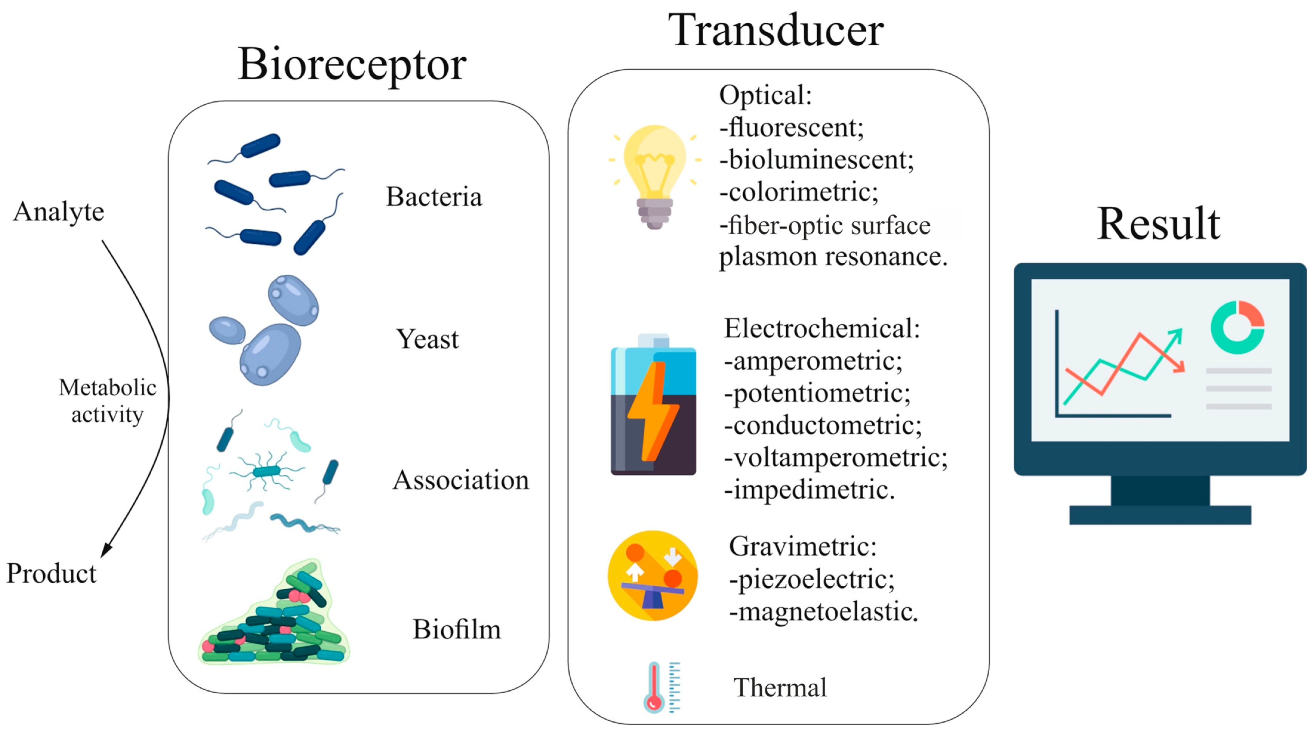Biosensors 15 00290 g001