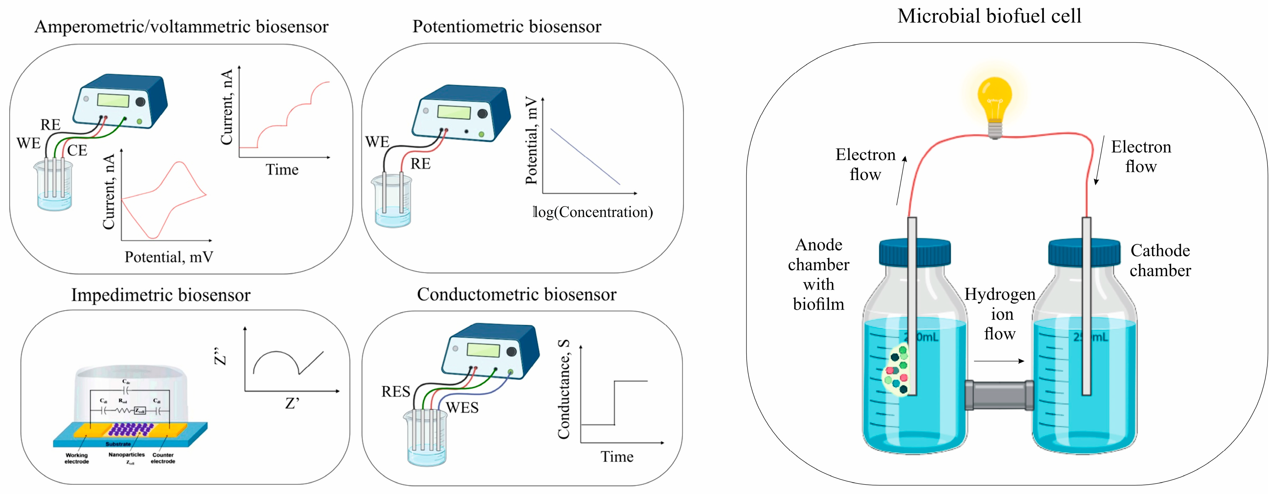 Biosensors 15 00290 g003