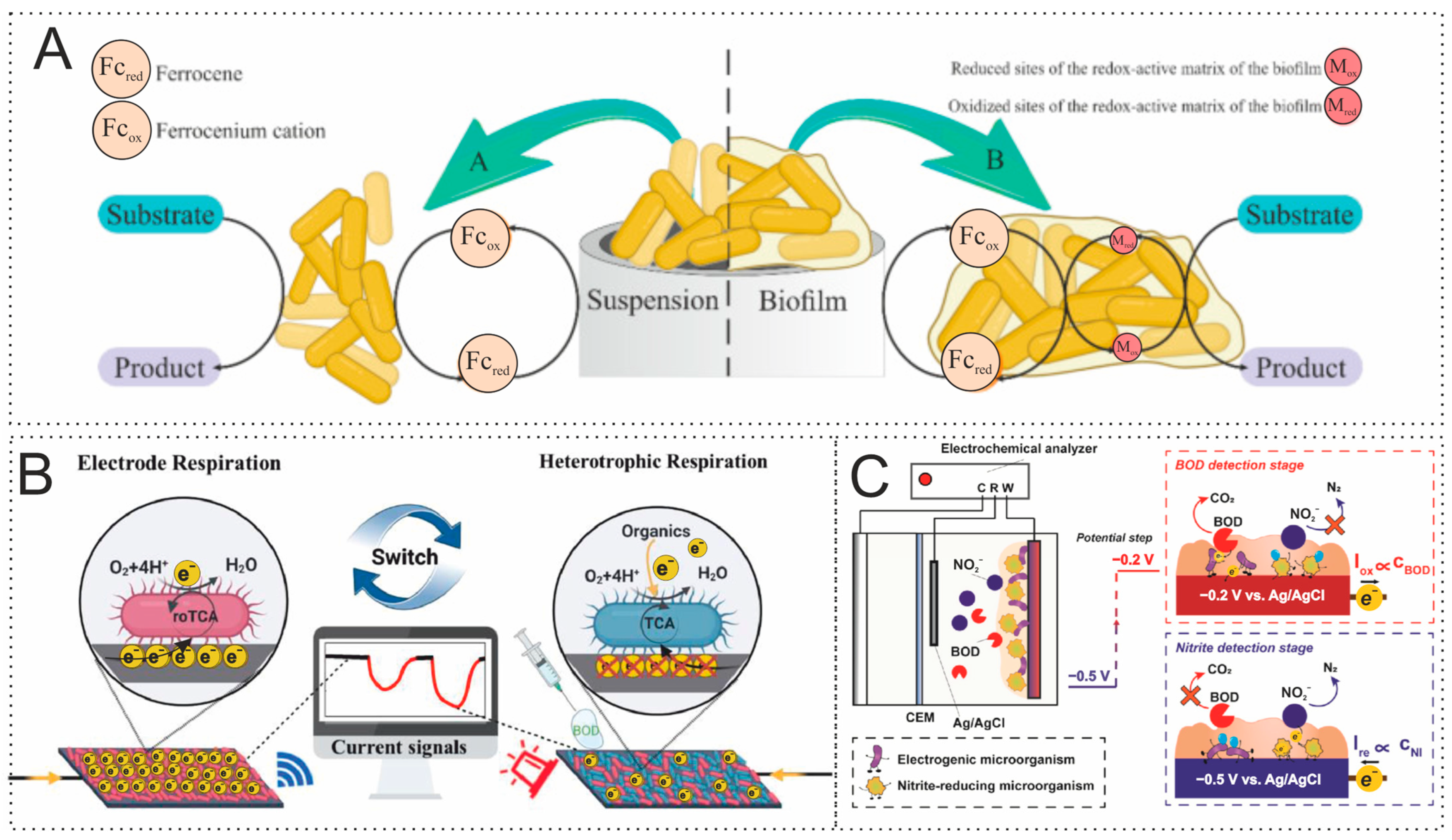 Biosensors 15 00290 g005