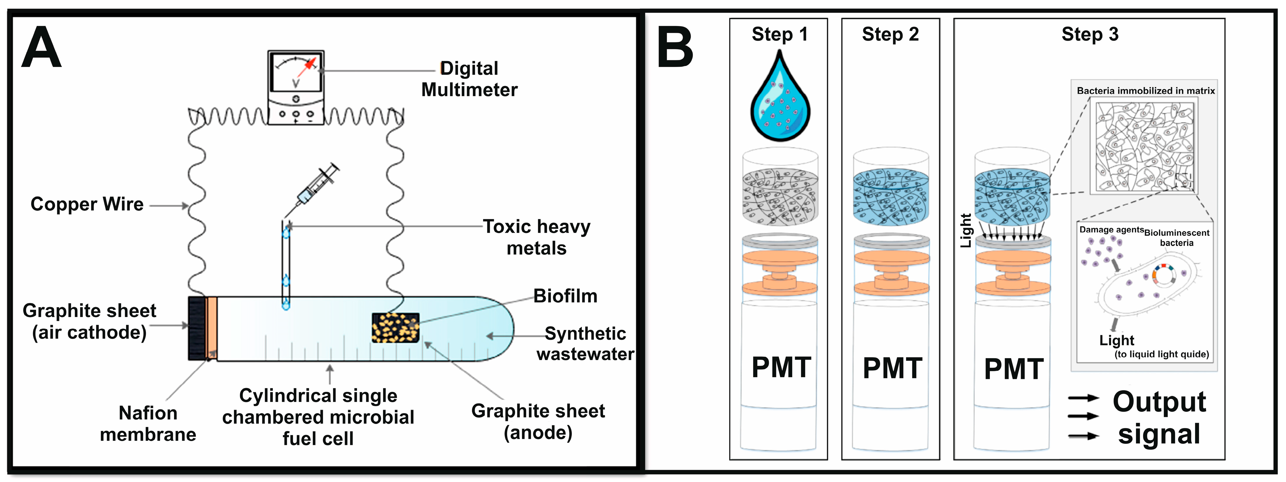 Biosensors 15 00290 g007