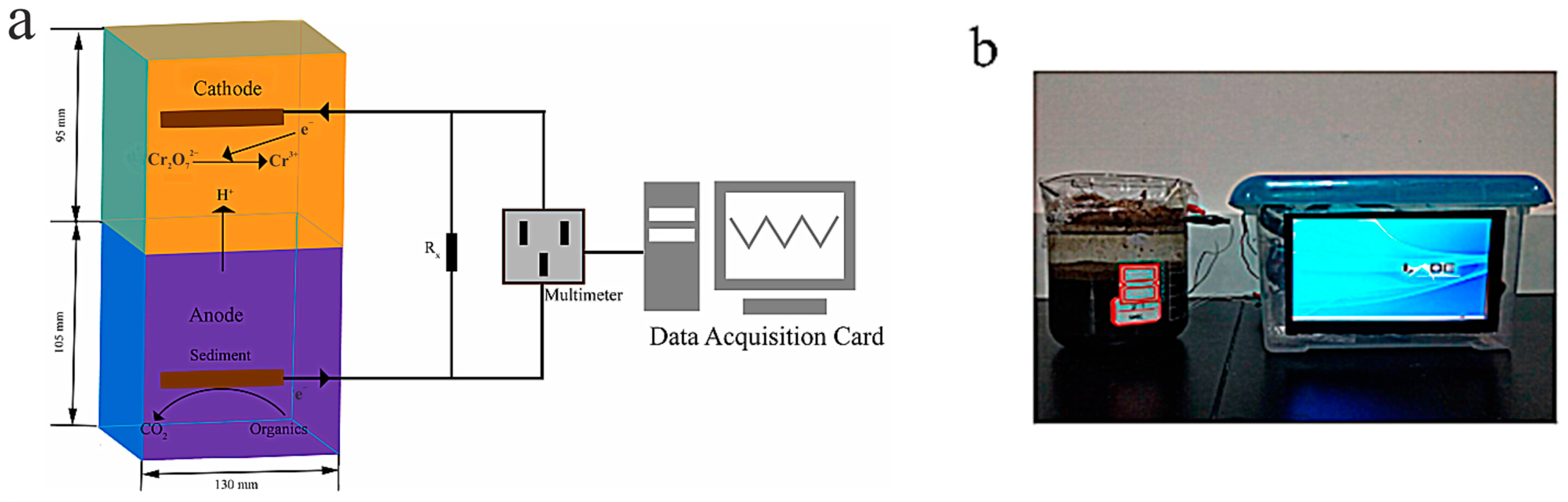 Biosensors 15 00290 g008