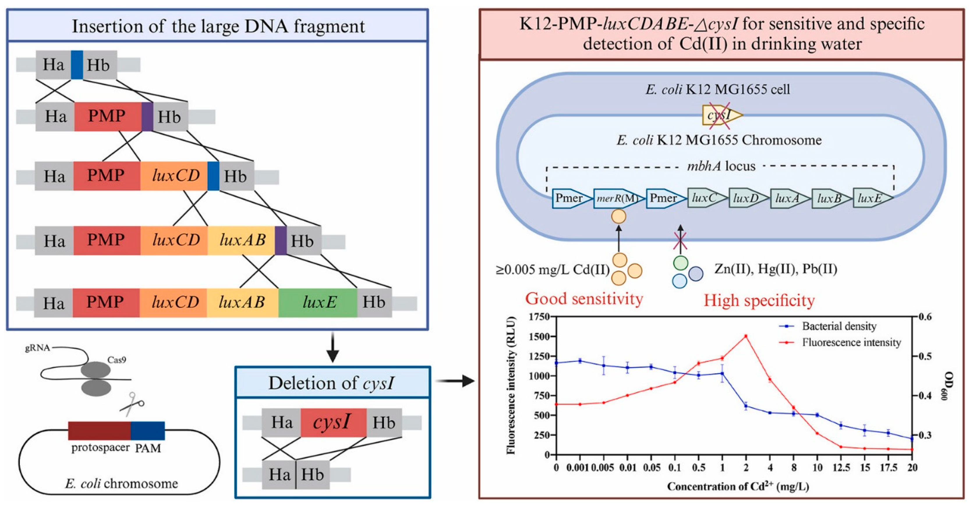 Biosensors 15 00290 g009