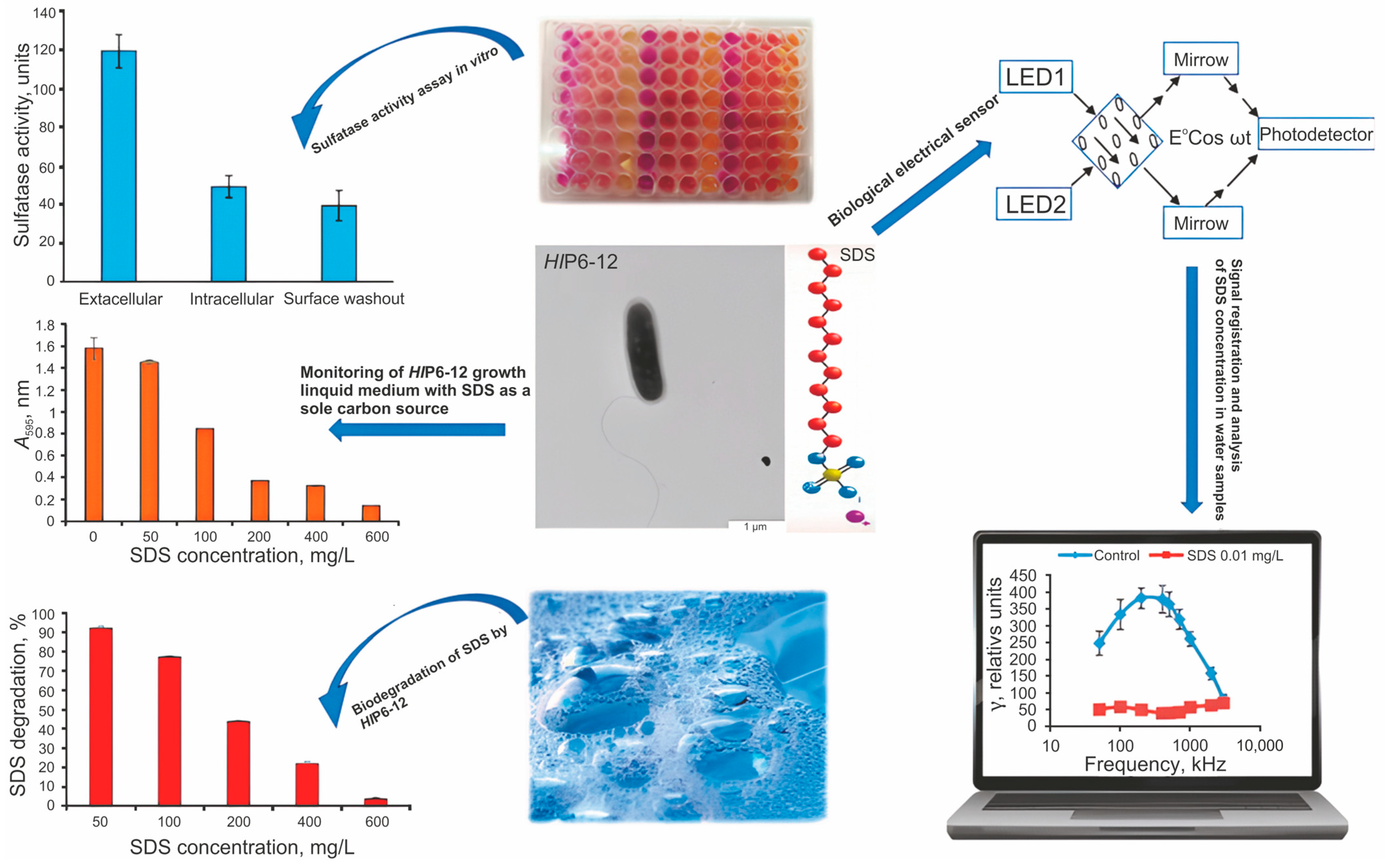 Biosensors 15 00290 g012