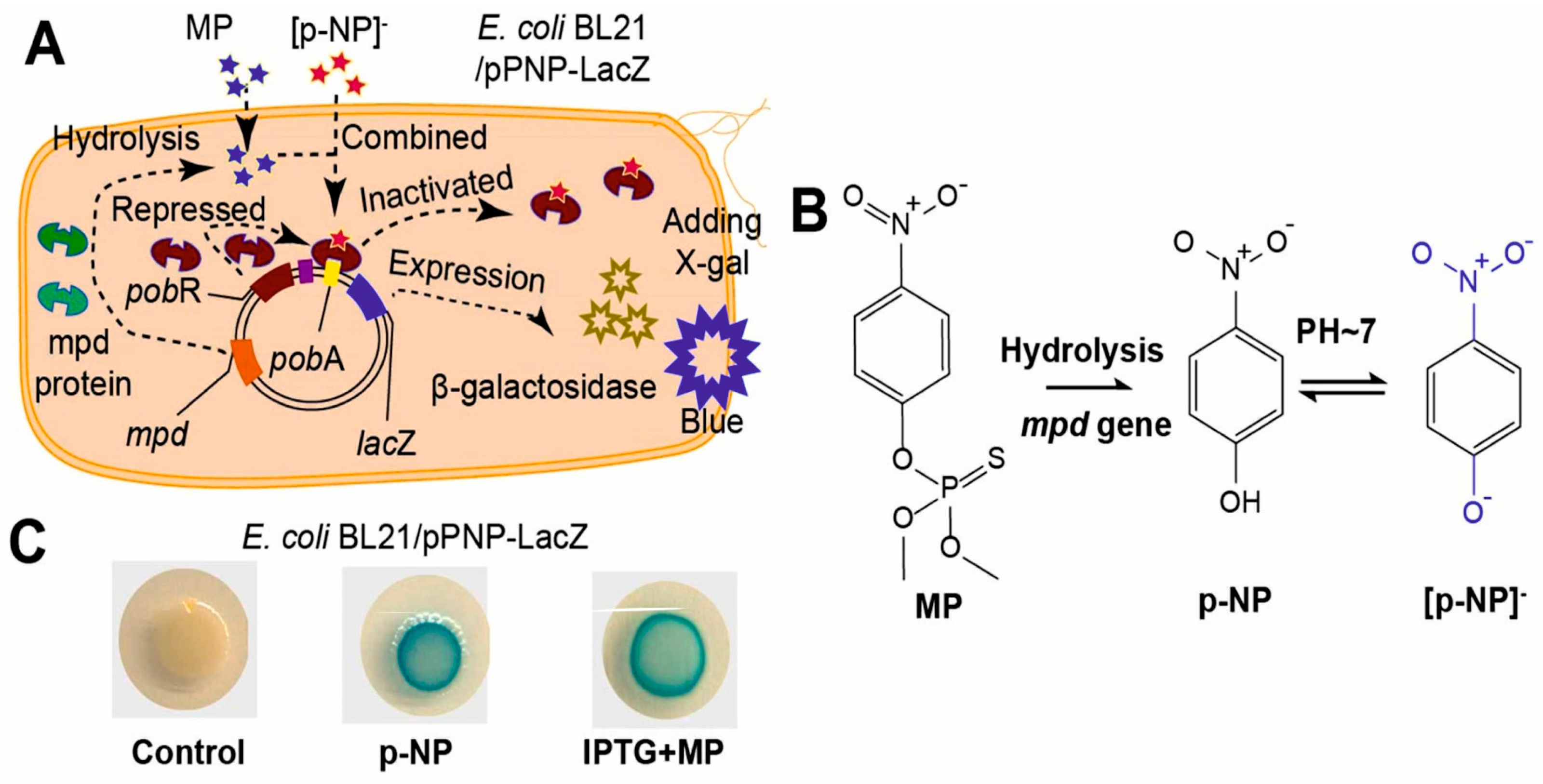 Biosensors 15 00290 g018