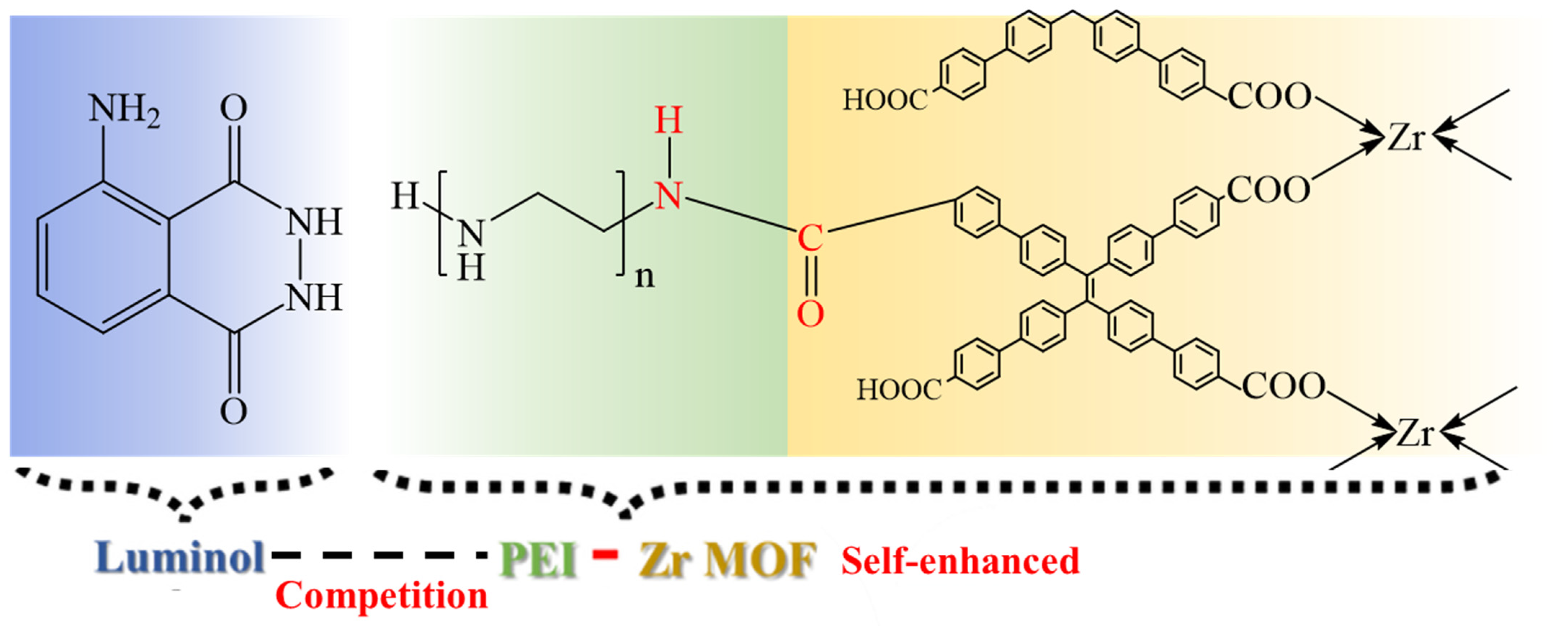 Biosensors 15 00291 g003