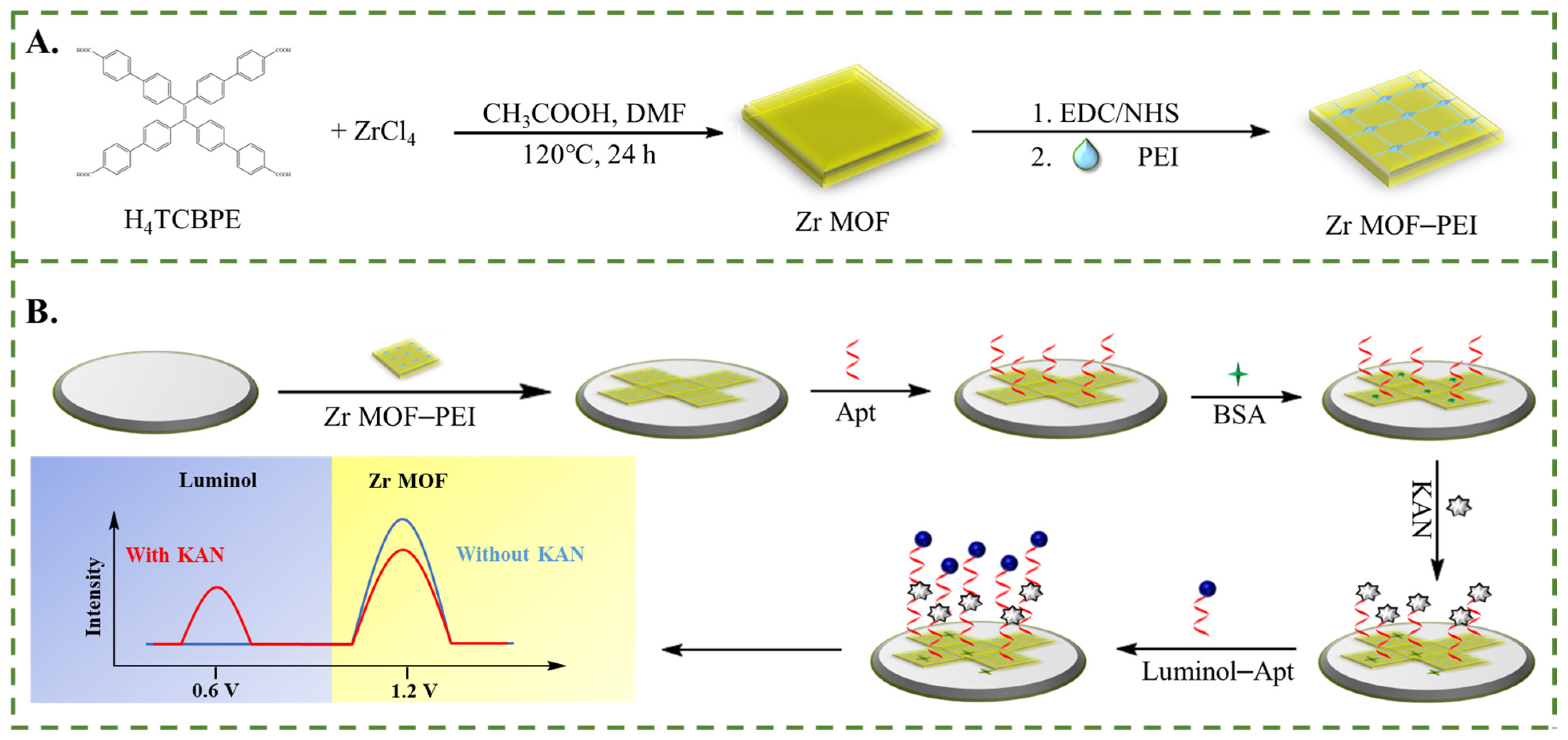 Biosensors 15 00291 sch001
