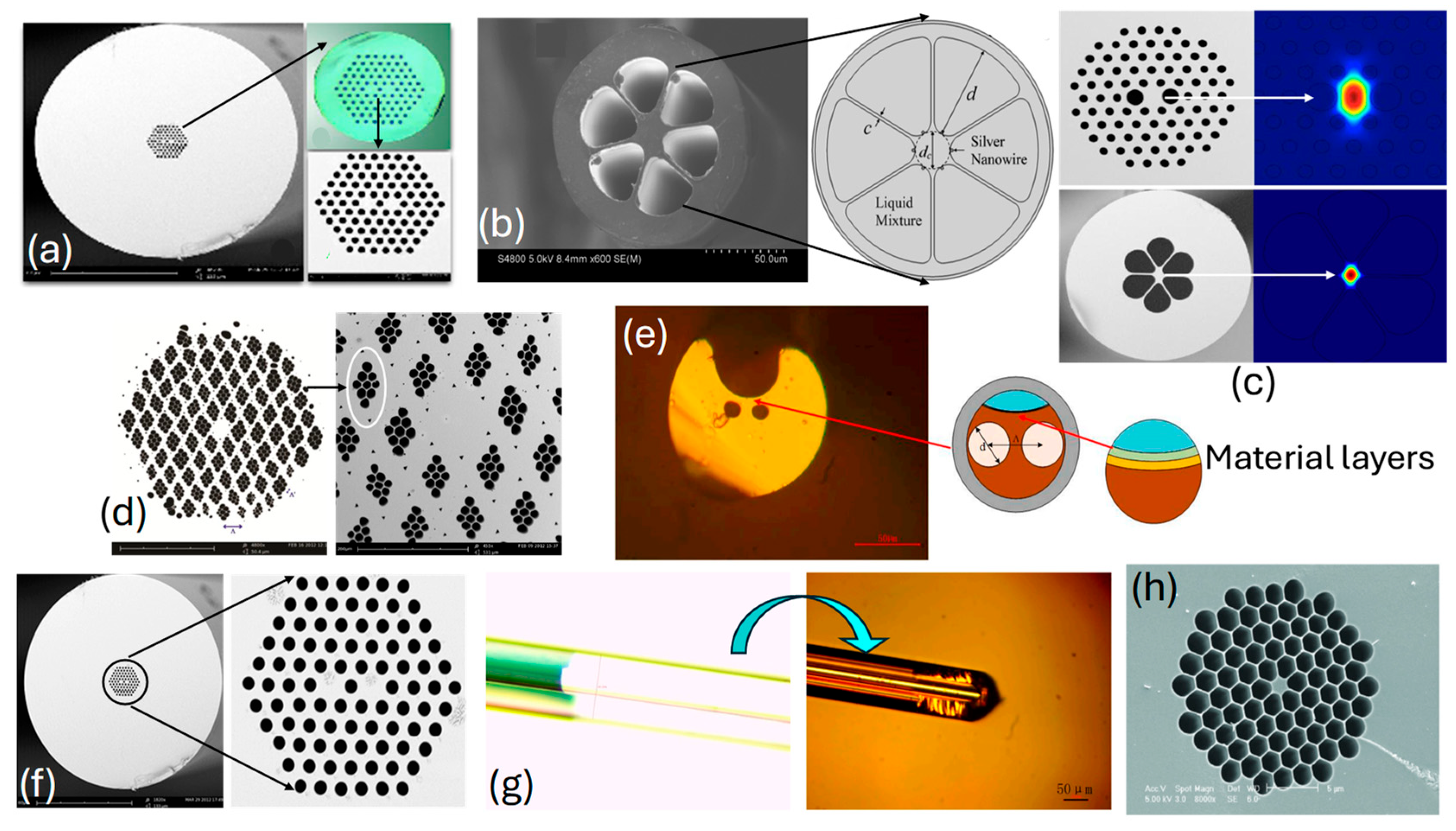 Biosensors 15 00292 g005