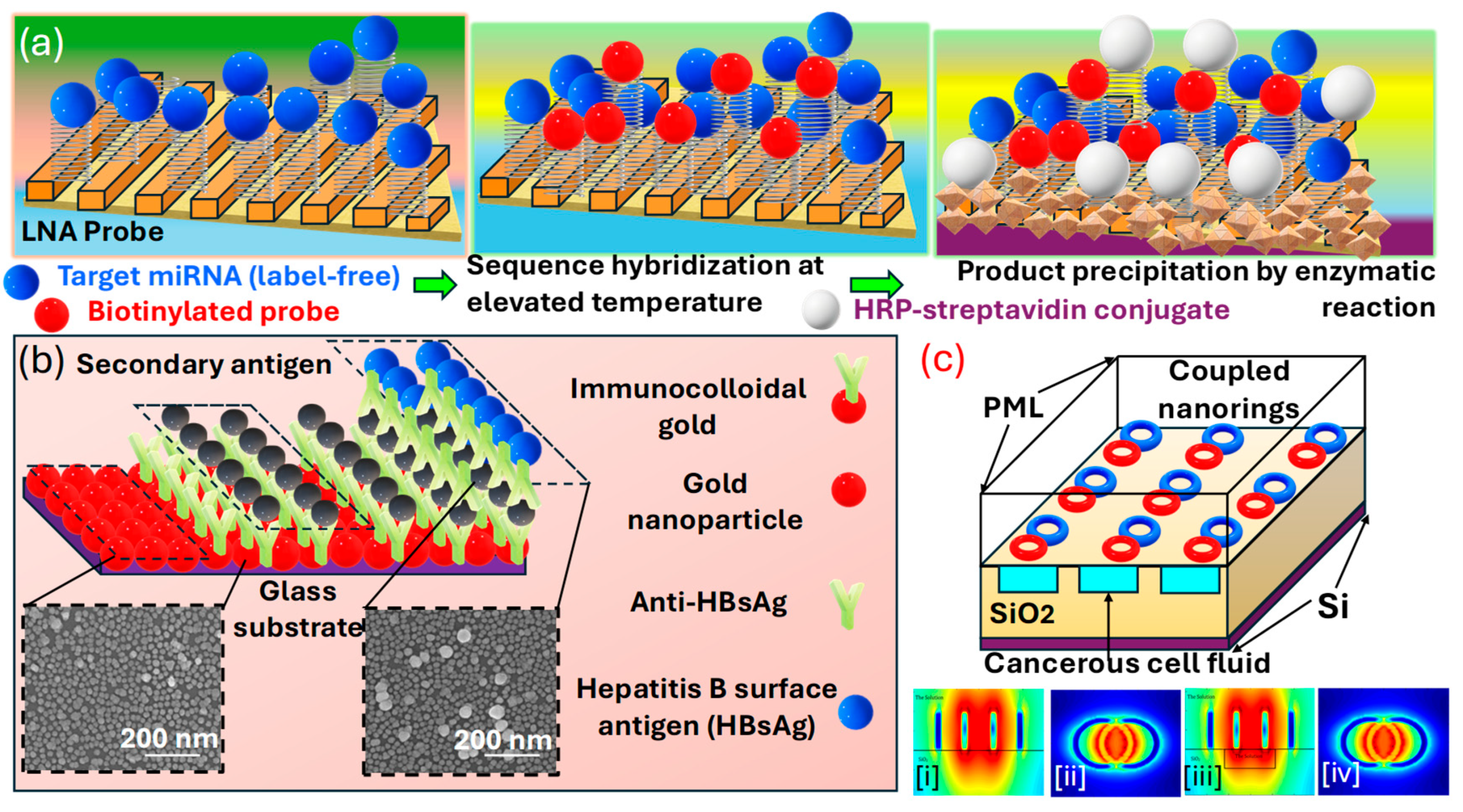 Biosensors 15 00292 g007