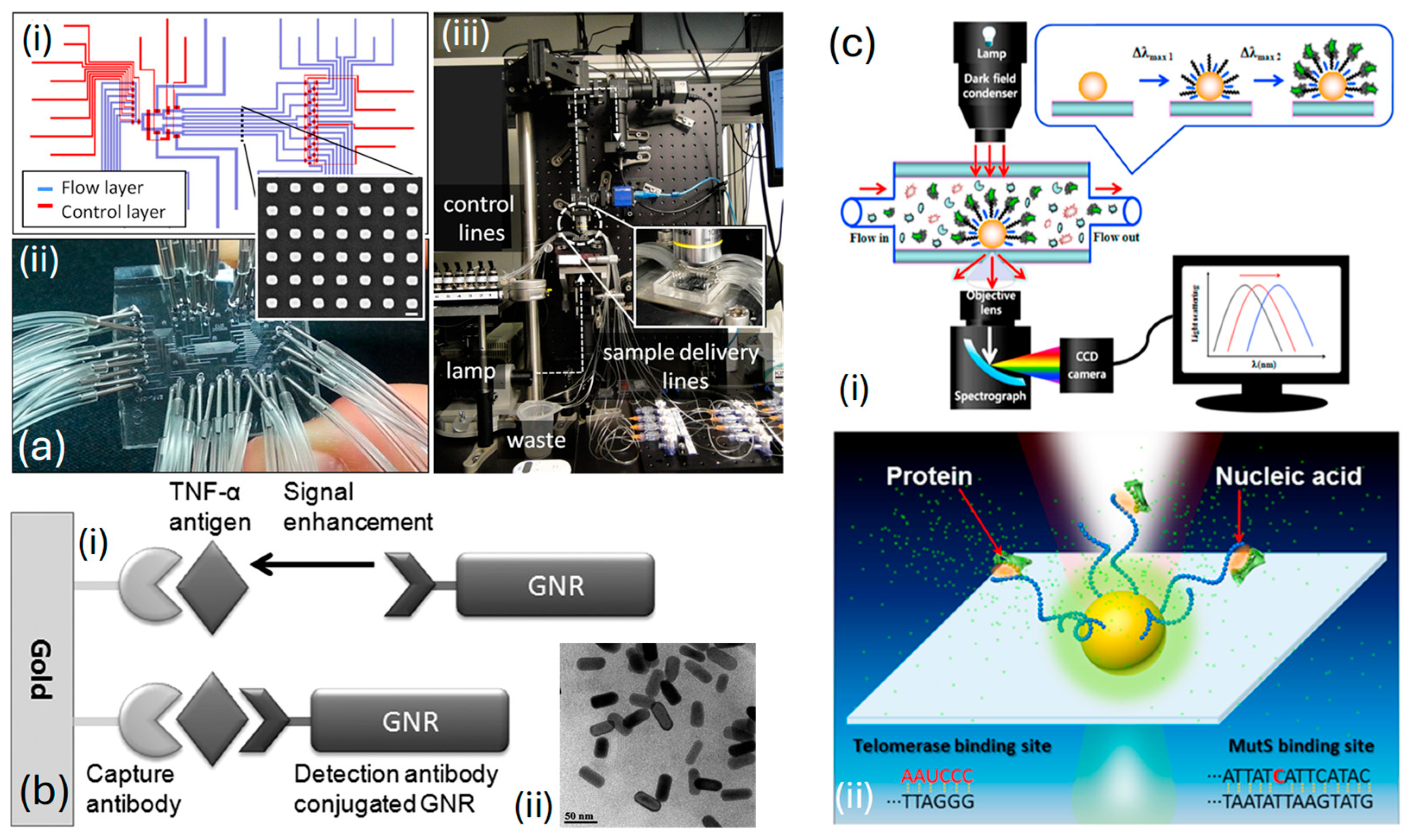 Biosensors 15 00292 g008