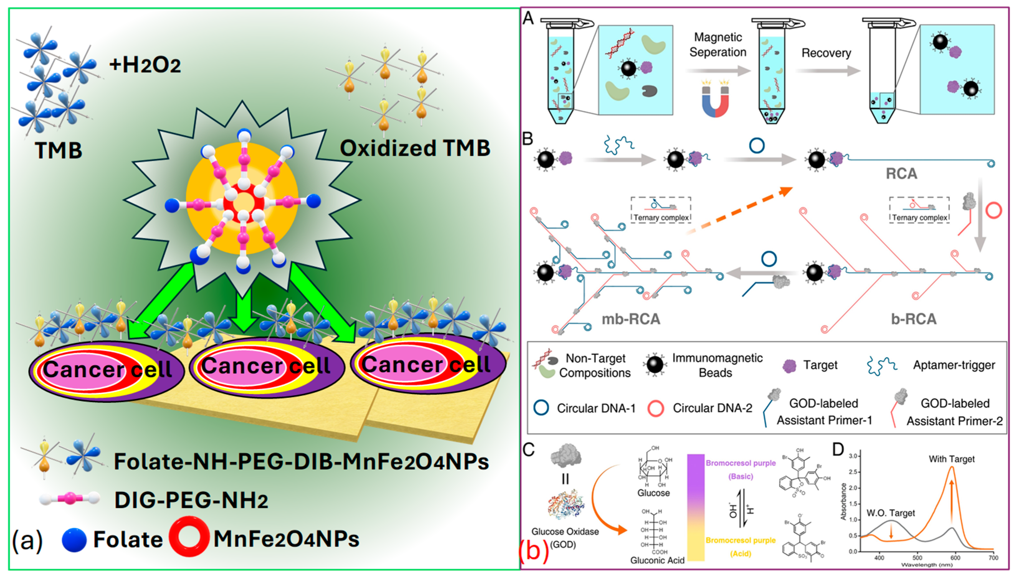 Biosensors 15 00292 g010