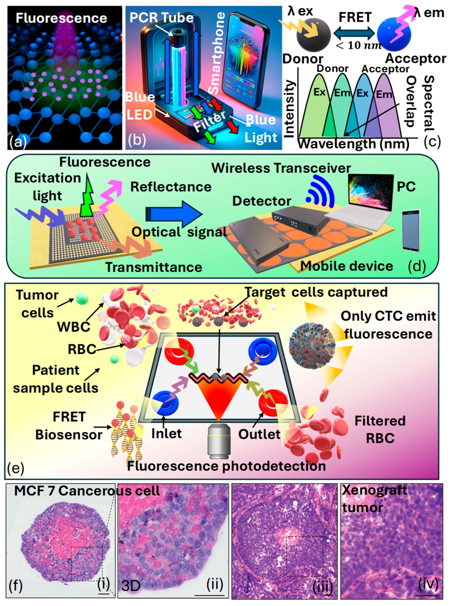 Biosensors 15 00292 g011