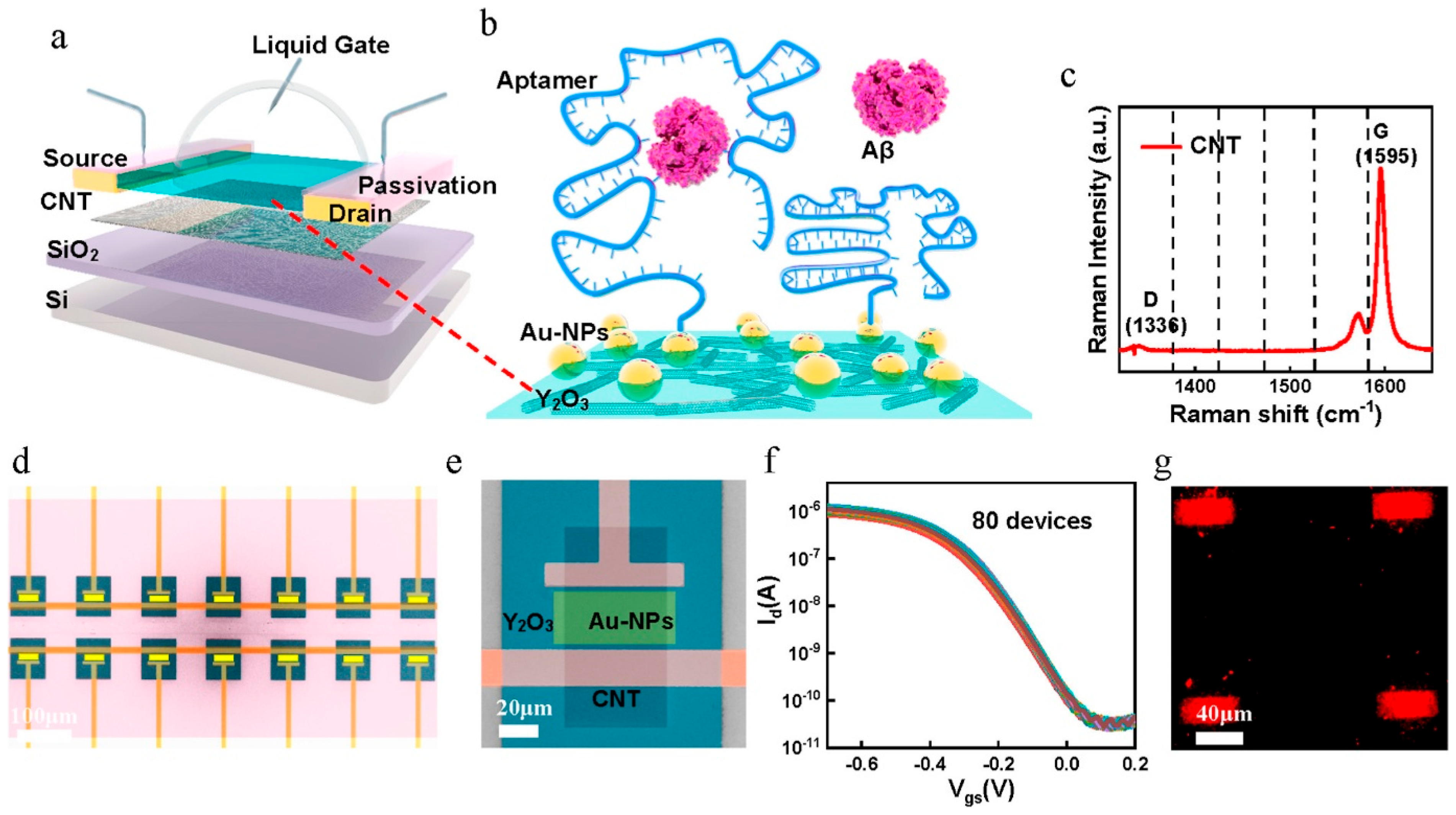 Biosensors 15 00296 g007