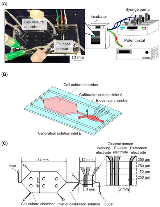 Biosensors 15 00307 g001