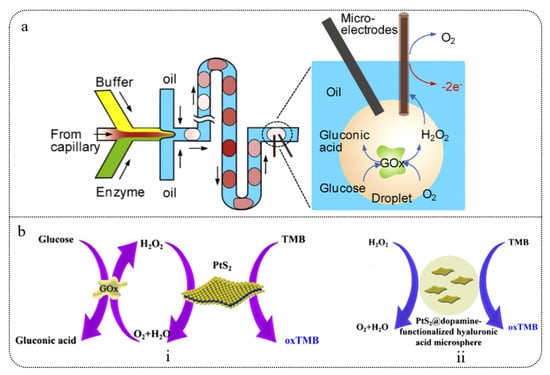 Biosensors 15 00309 g005