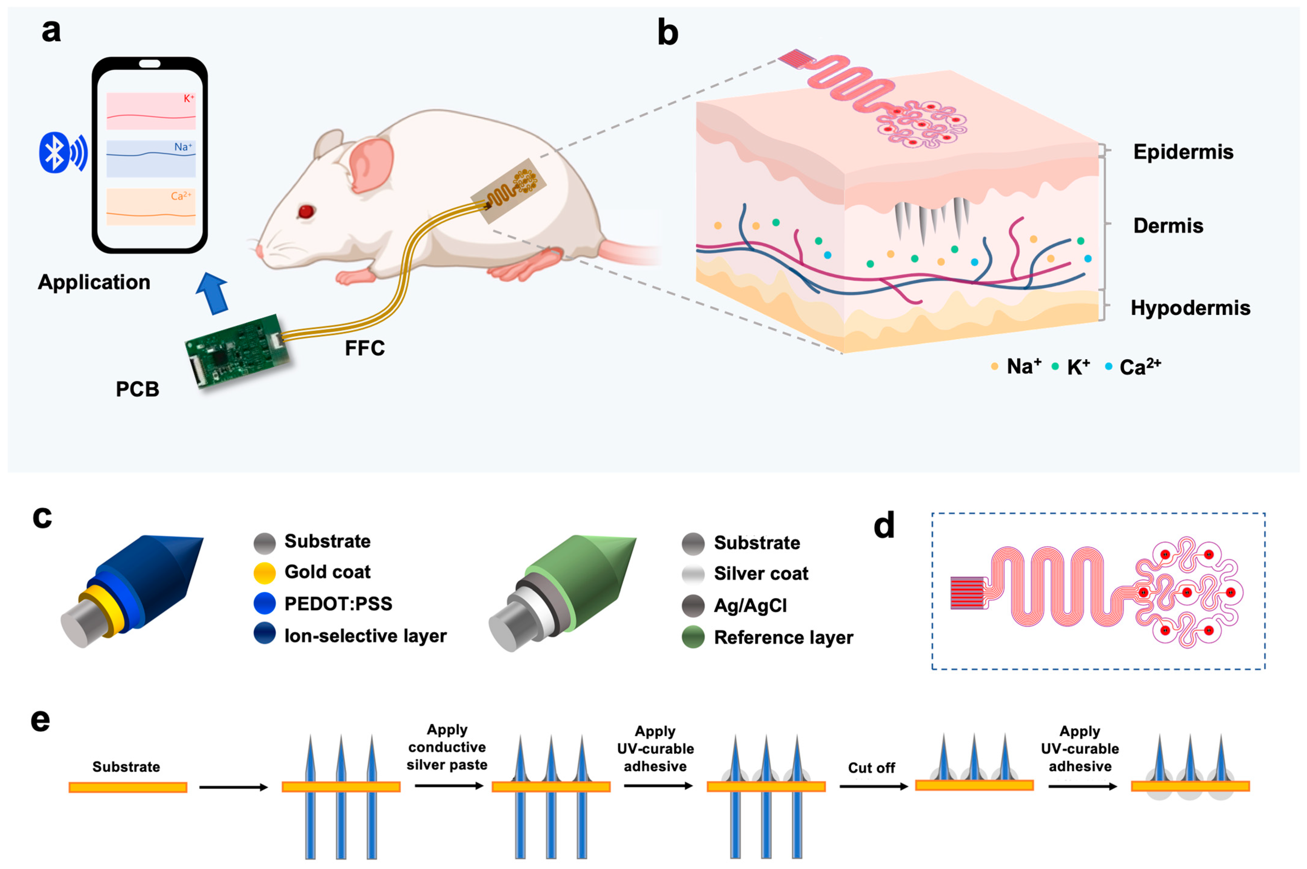 Biosensors 15 00310 g001