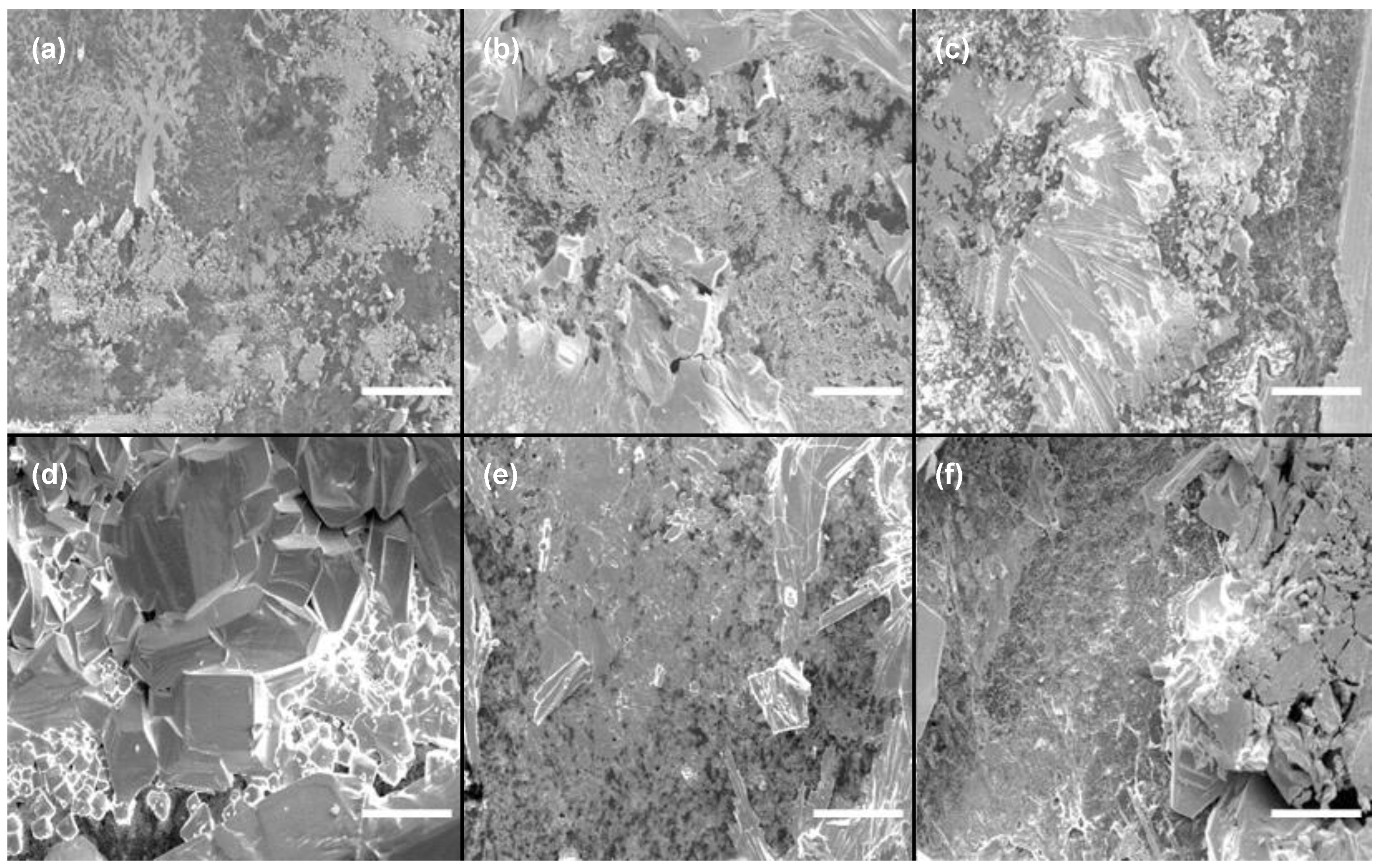Biosensors 15 00311 g001