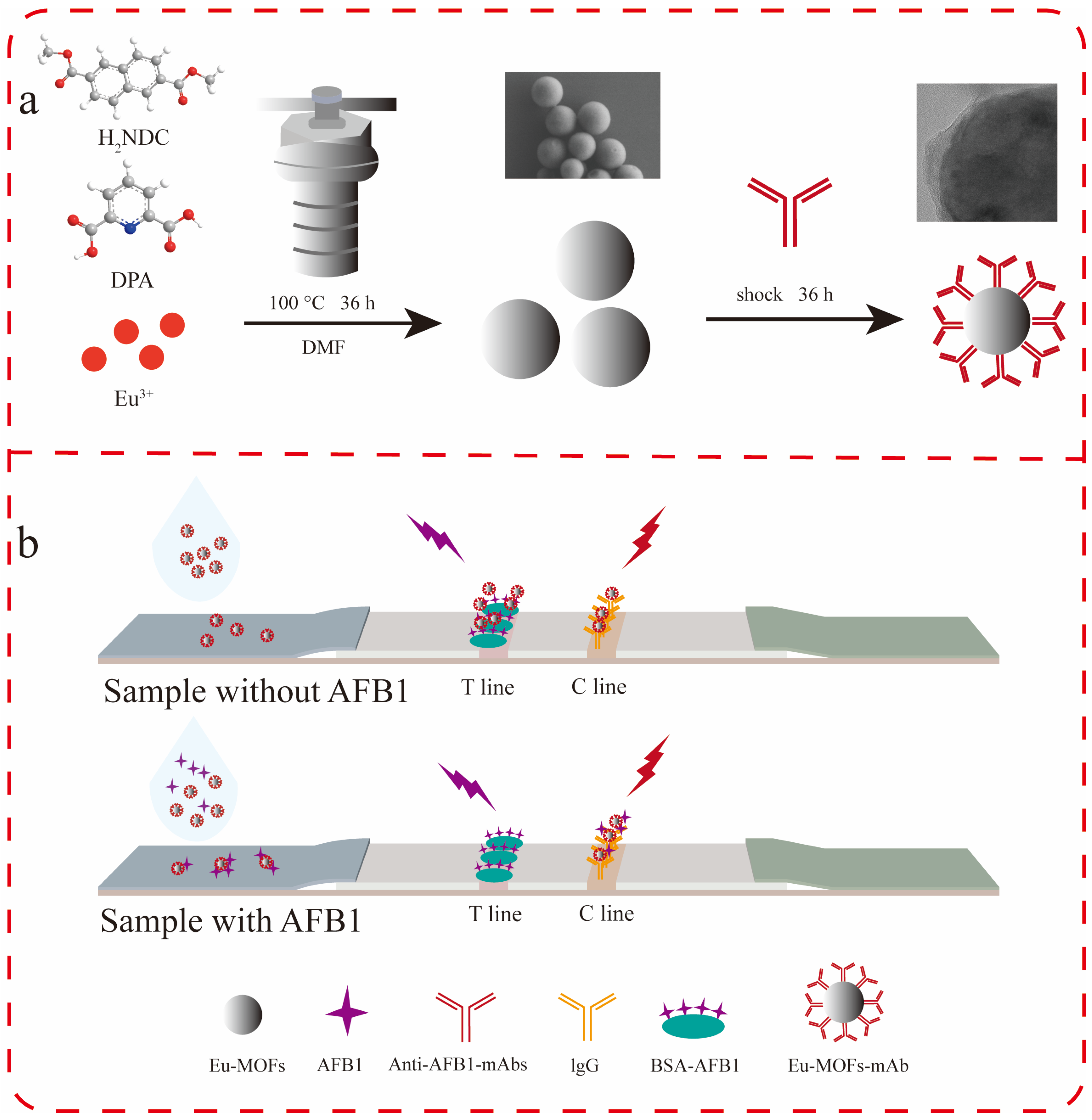 Biosensors 15 00313 g001