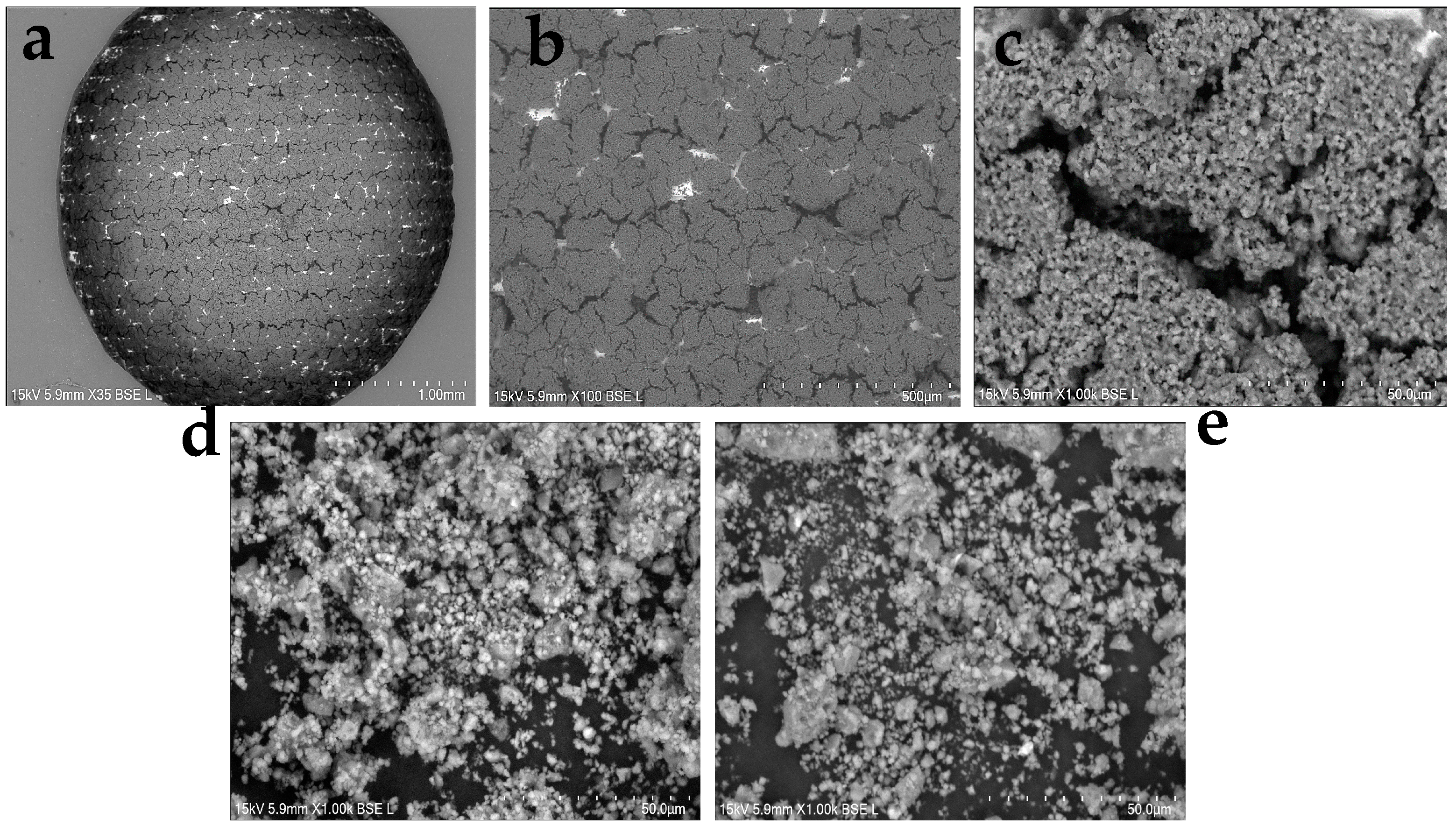 Biosensors 15 00315 g002