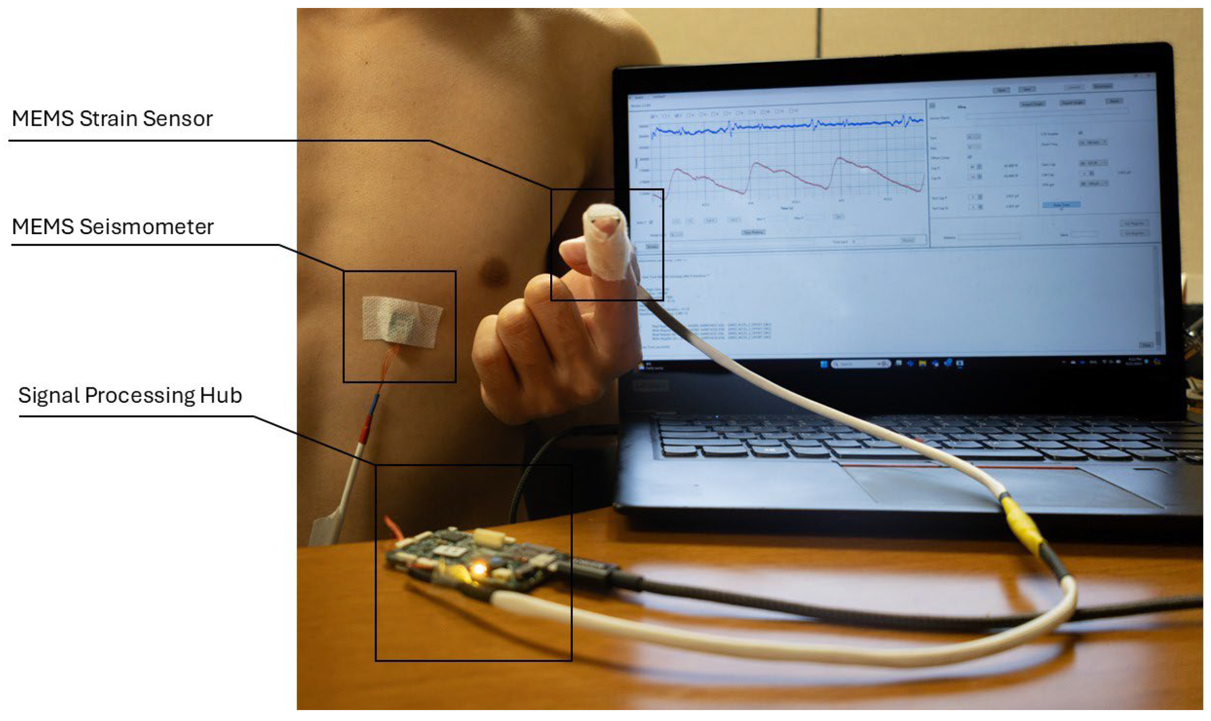 Biosensors 15 00325 g009