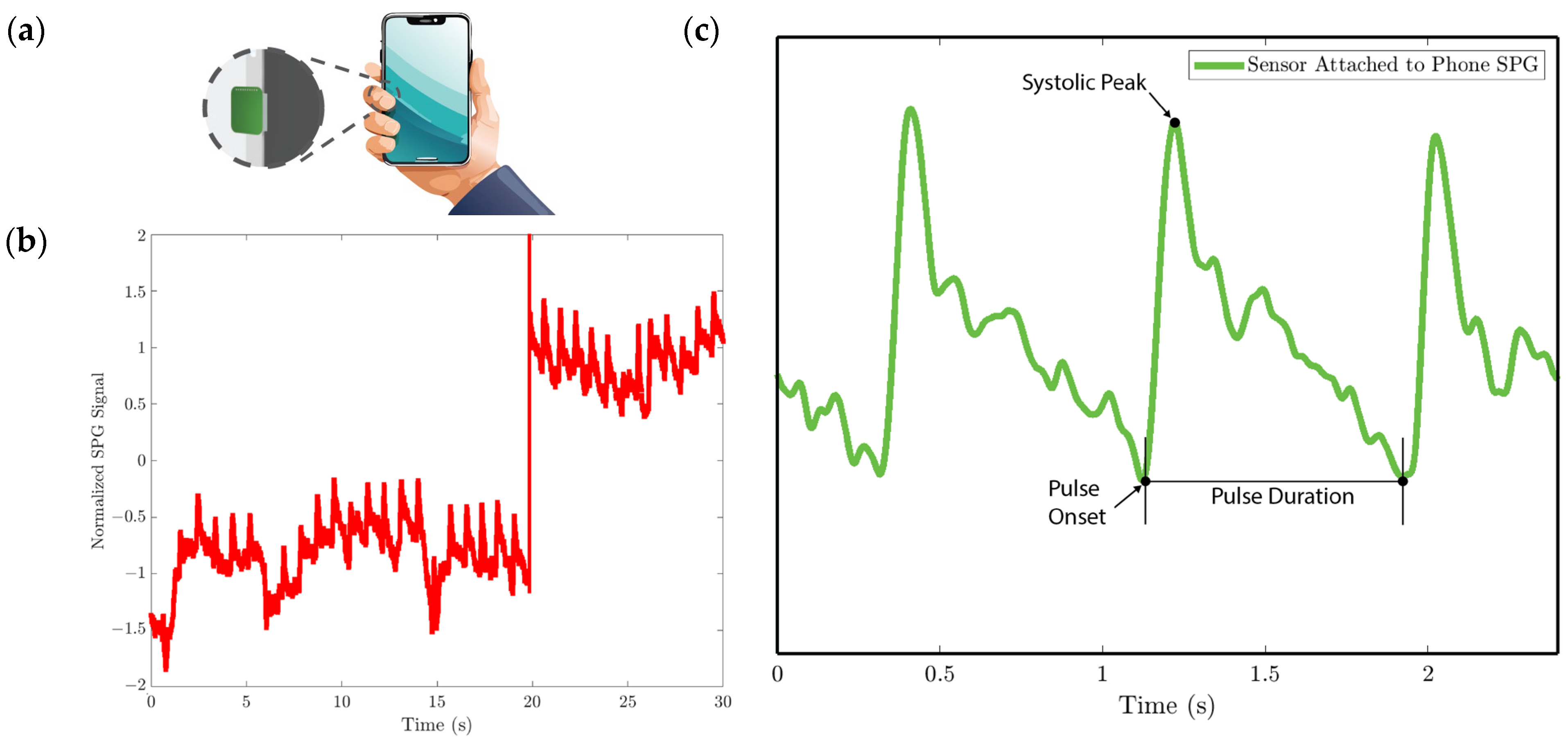 Biosensors 15 00325 g012