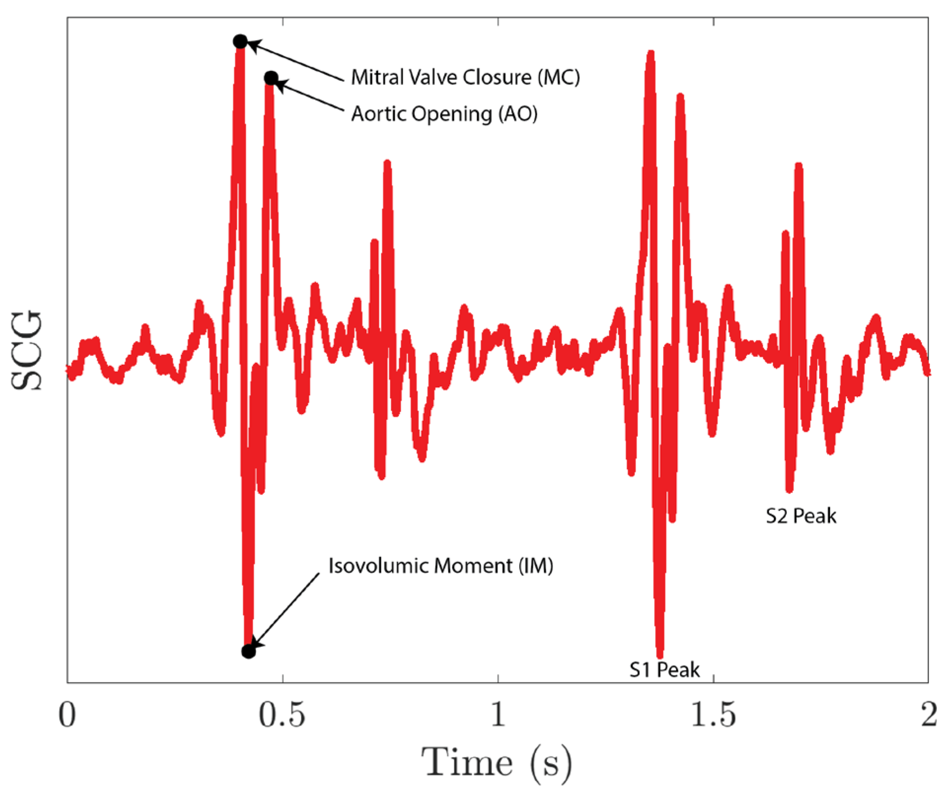 Biosensors 15 00325 g013
